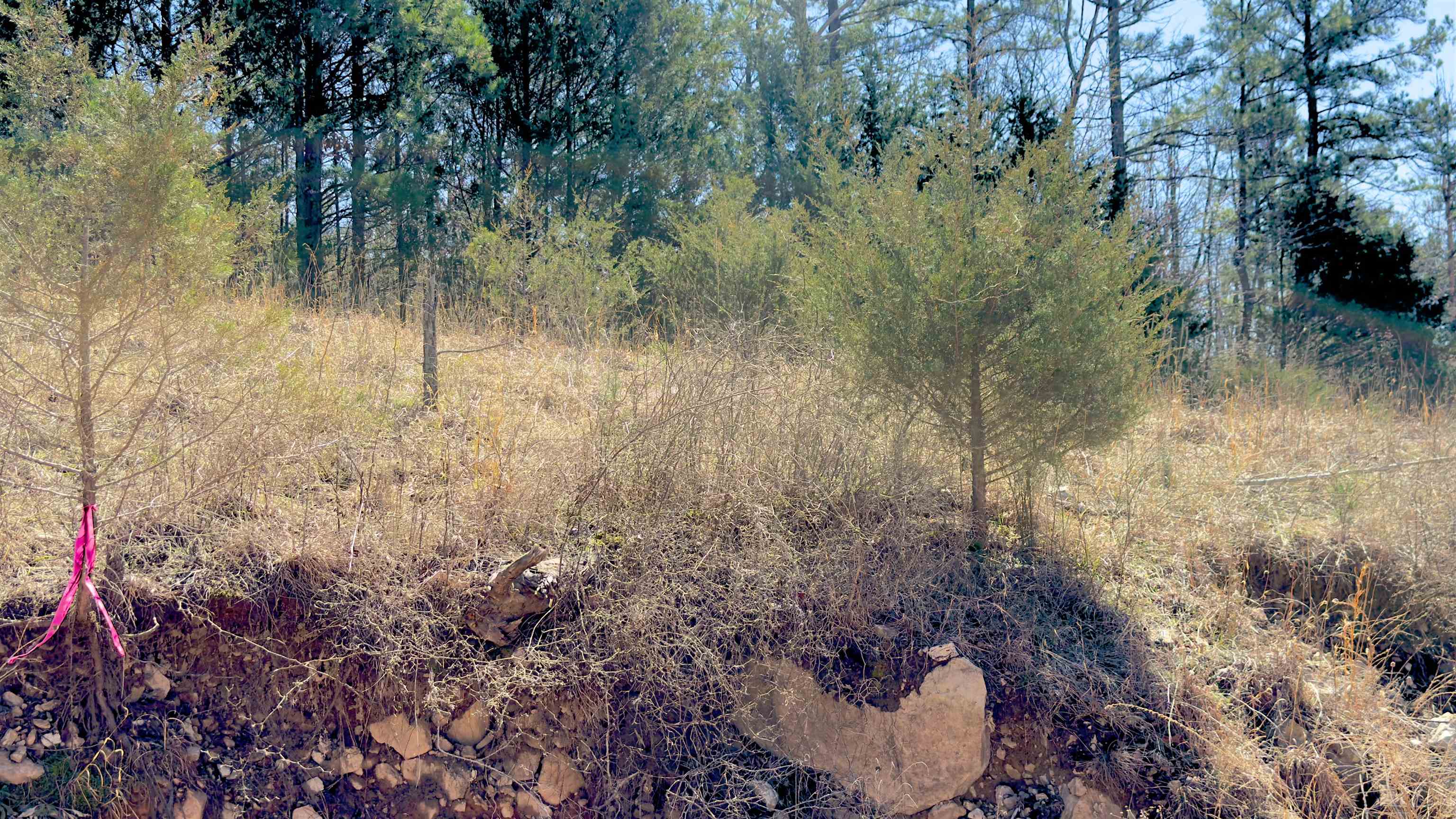 Metes & Bounds - Land