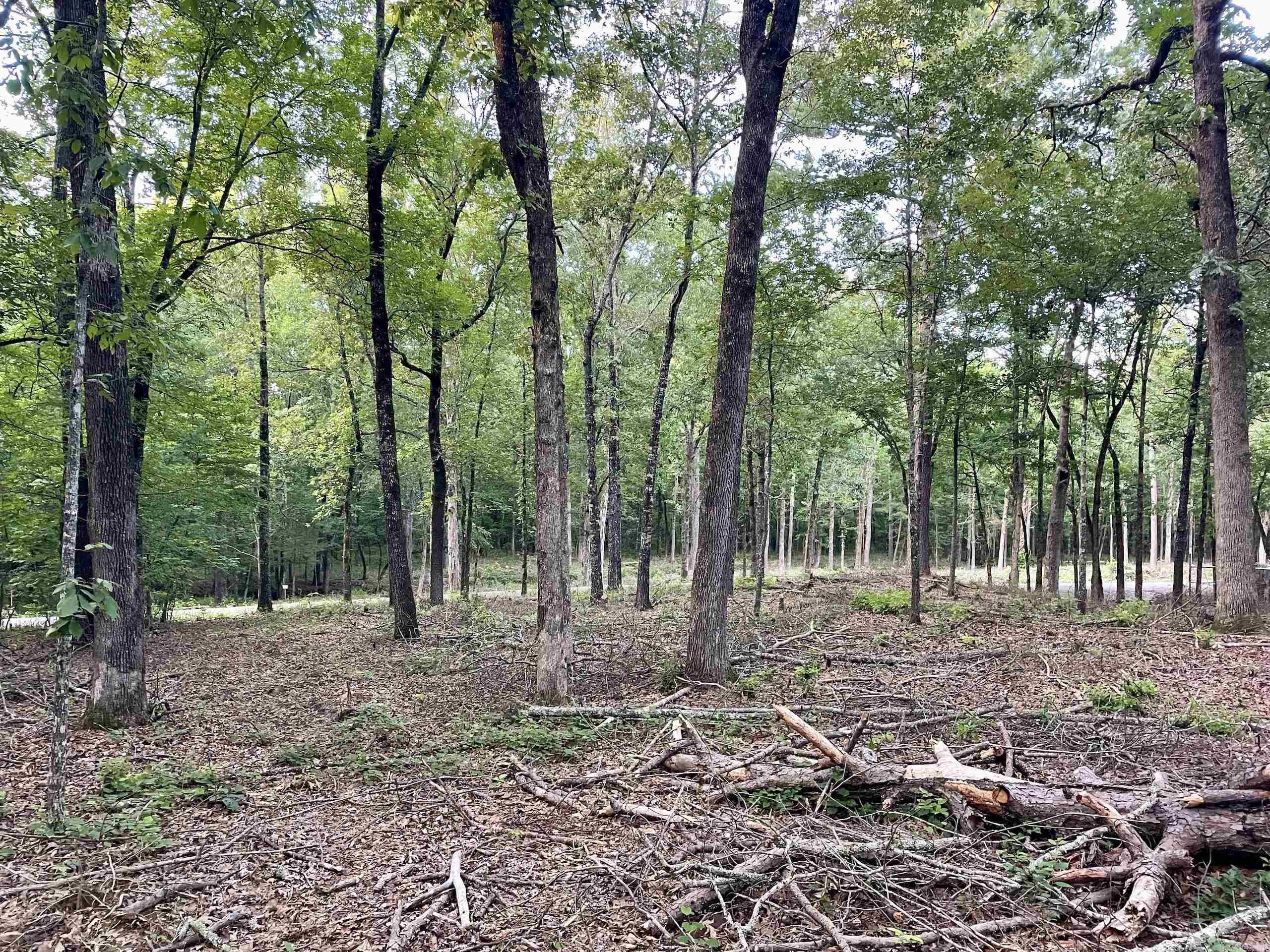 Not in Subdivision - Land