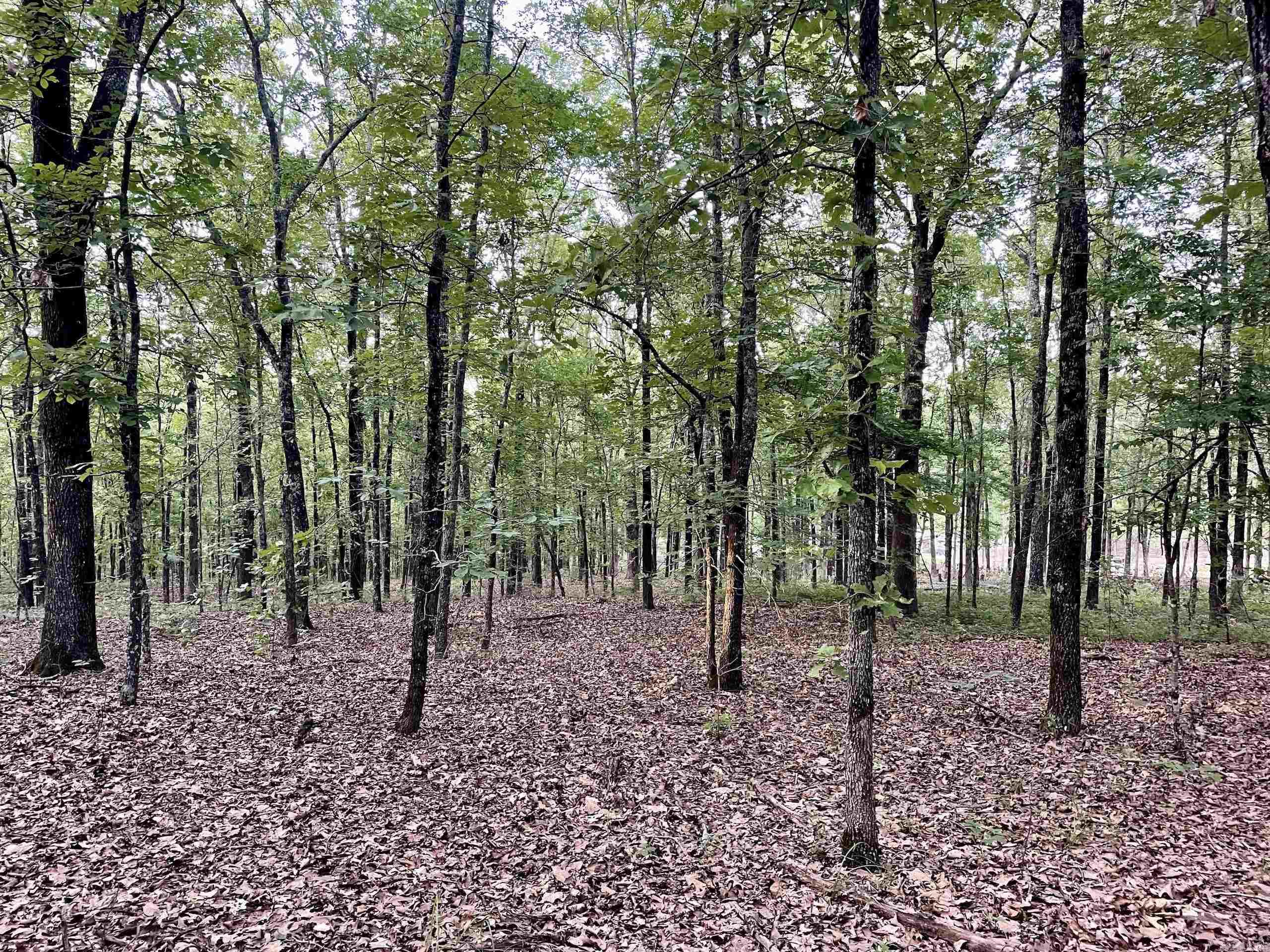 Not in Subdivision - Land