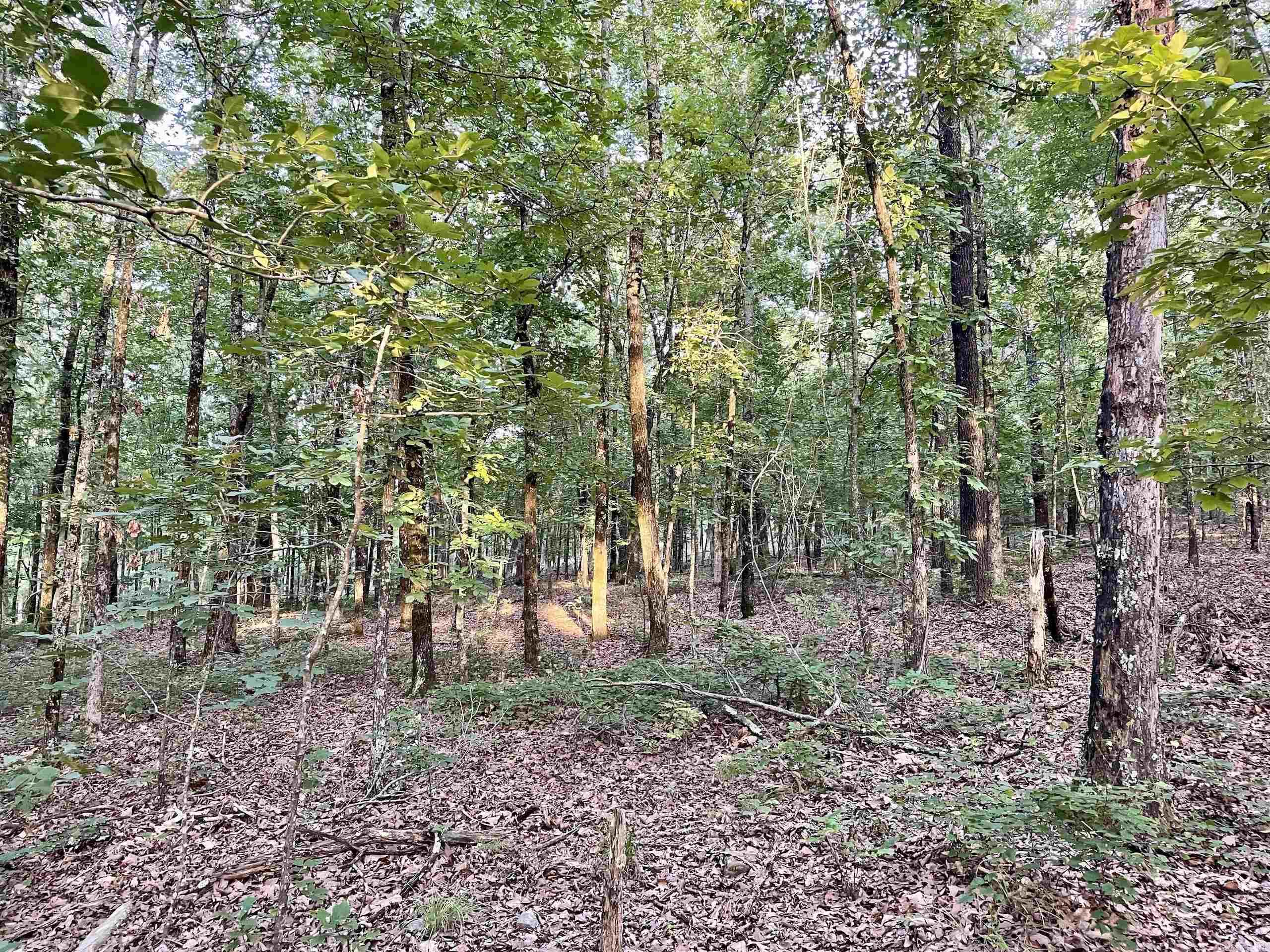 Not in Subdivision - Land