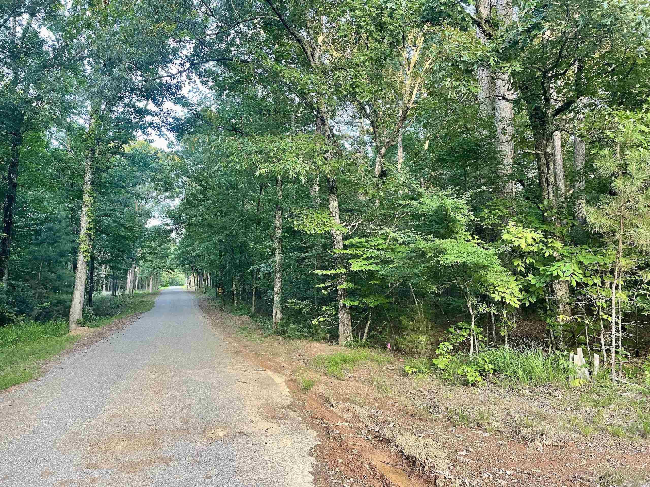 Do you want to build near shopping, schools and hospitals but don't want to be in a rural setting? Then you might want to look at this nice, unrestricted property. Choose from several building sites with mature timber on the gently sloping terrain, creating a parklike atmosphere. Your family will enjoy exploring this unrestricted acreage with abundant wildlife that can be observed in a natural setting. Located on a blacktop road with electricity, internet, and rural water along the road to combine all the convenience of city living with a quiet natural setting that rural living is known for. Pulaski County Special School District.