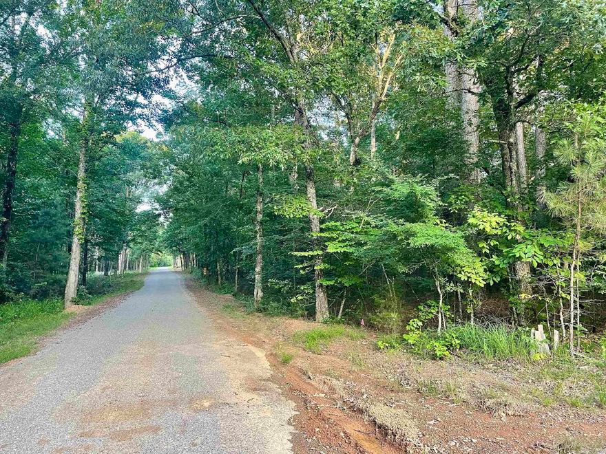 Do you want to build near shopping, schools and hospitals but don't want to be in a rural setting? Then you might want to look at this nice, unrestricted property. Choose from several building sites with mature timber on the gently sloping terrain, creating a parklike atmosphere. Your family will enjoy exploring this unrestricted acreage with abundant wildlife that can be observed in a natural setting. Located on a blacktop road with electricity, internet, and rural water along the road to combine all the convenience of city living with a quiet natural setting that rural living is known for. Pulaski County Special School District.