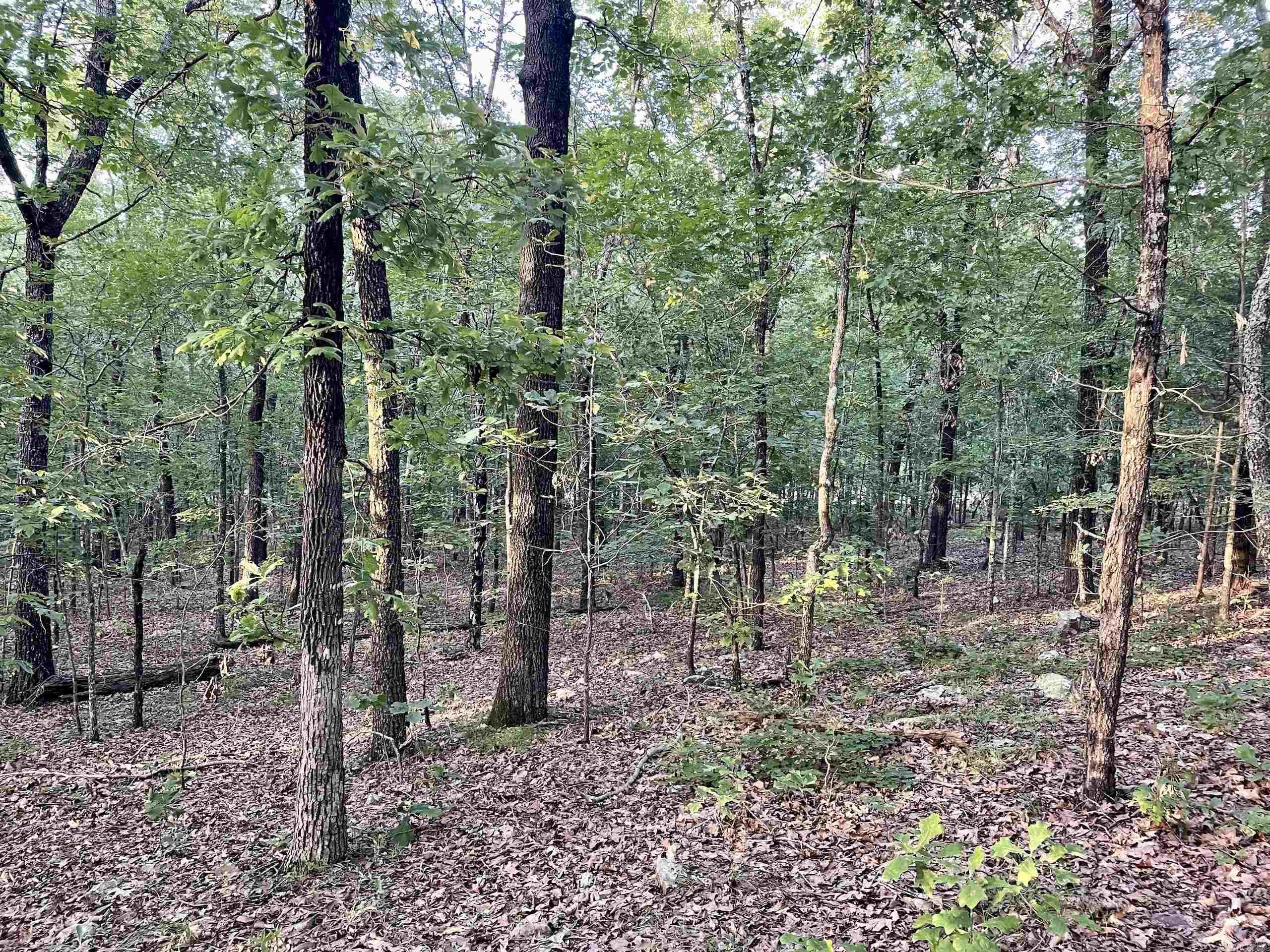 Not in Subdivision - Land