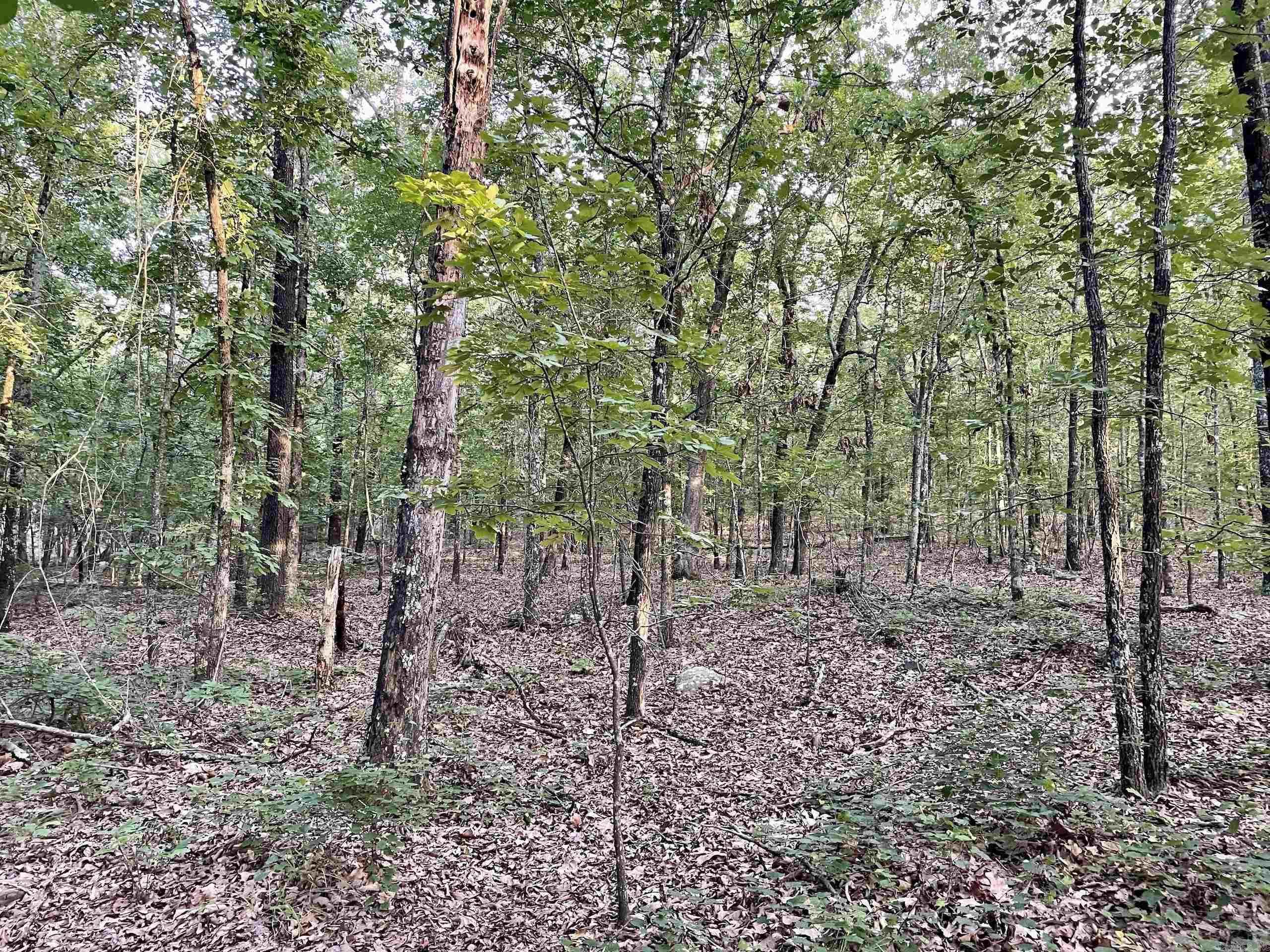 Not in Subdivision - Land