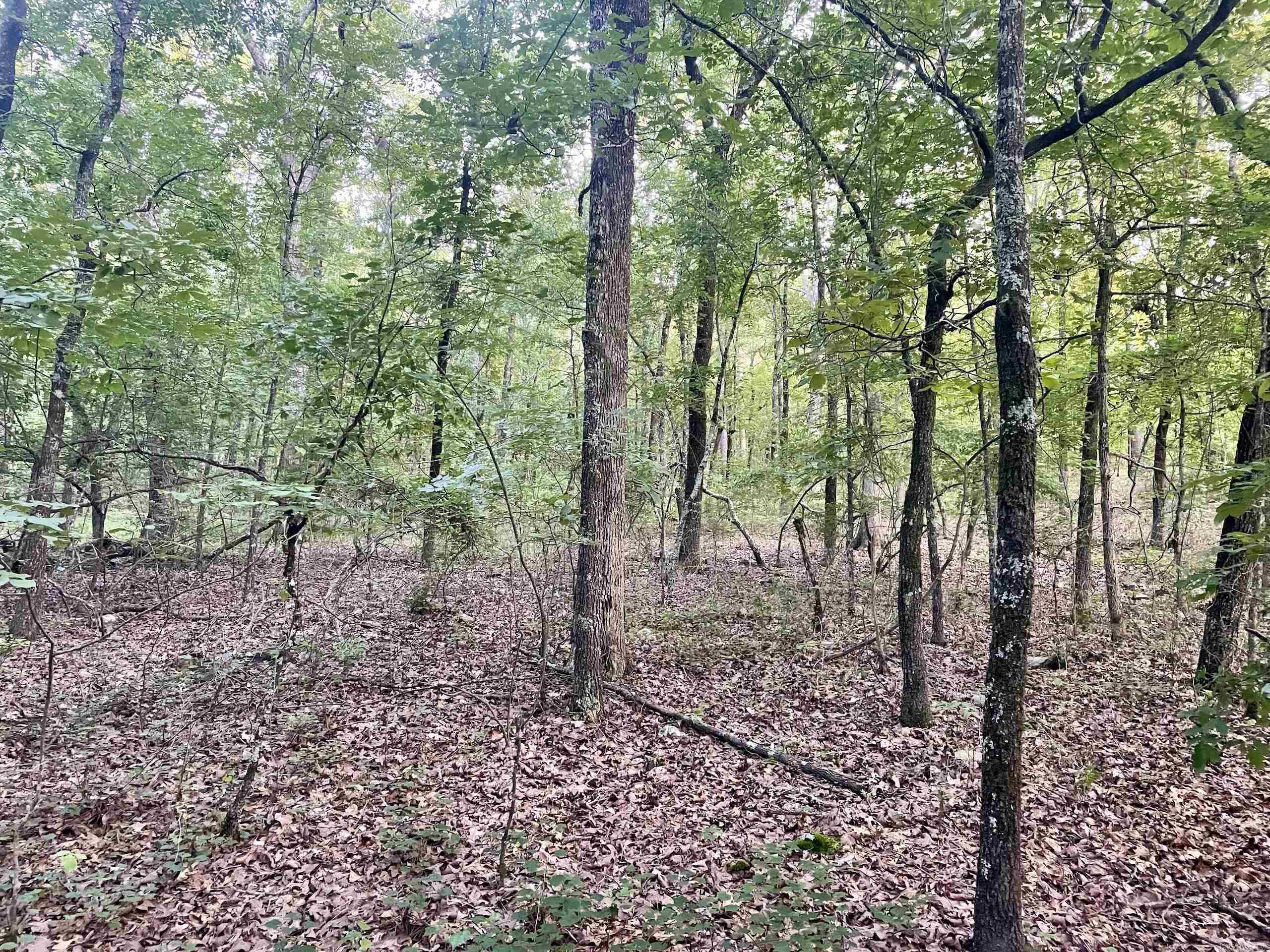 Not in Subdivision - Land