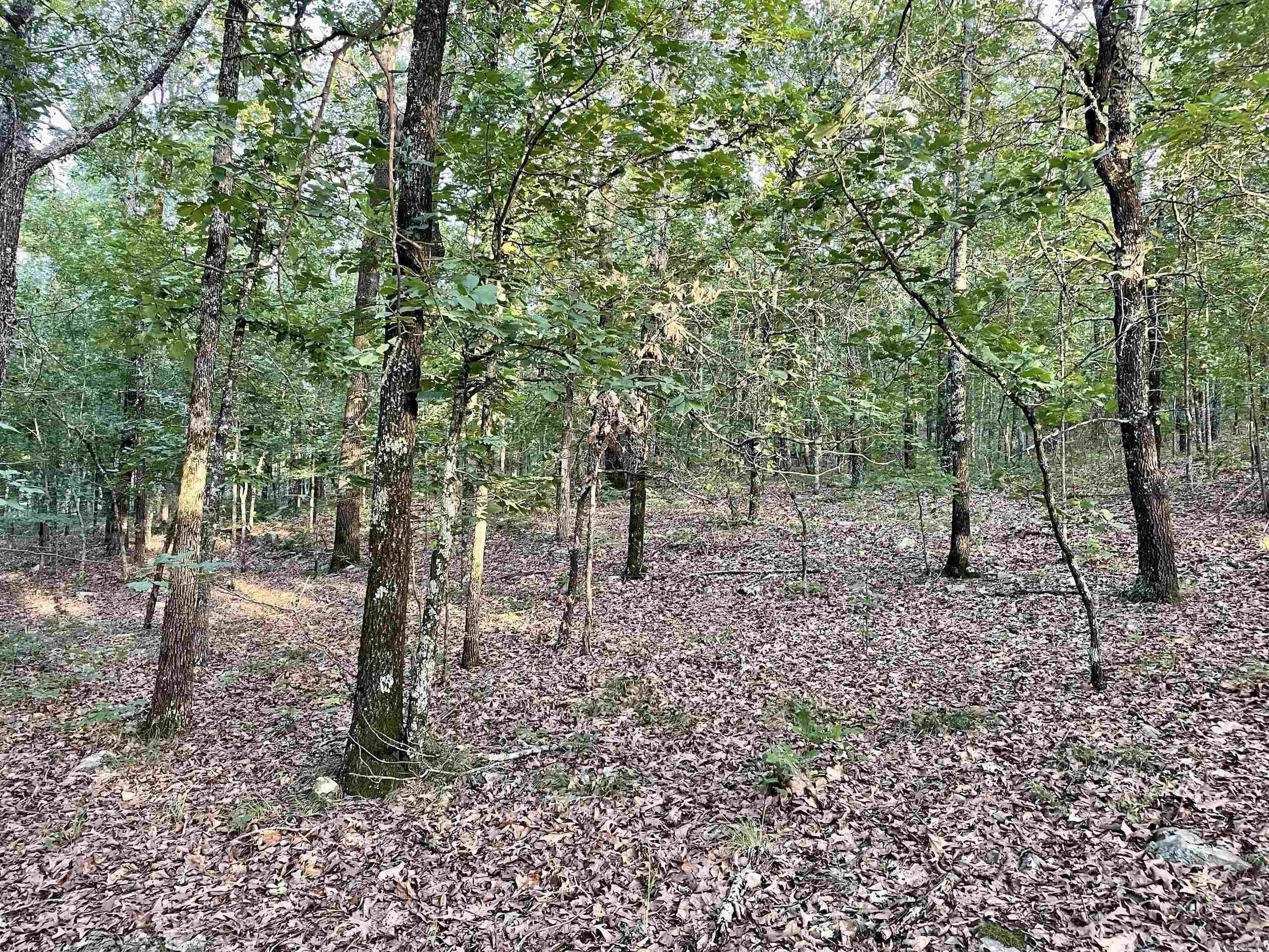 Not in Subdivision - Land