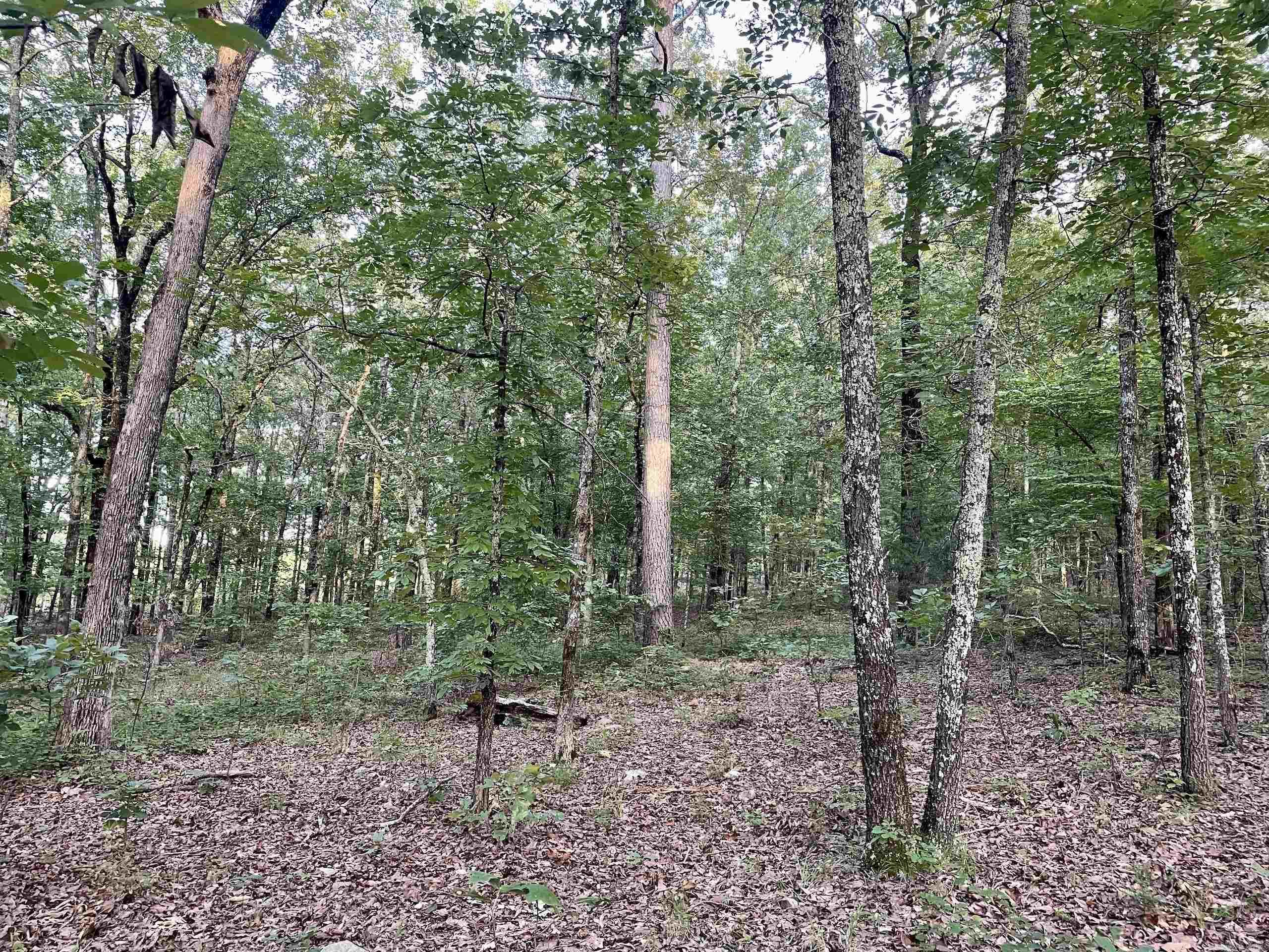 Not in Subdivision - Land