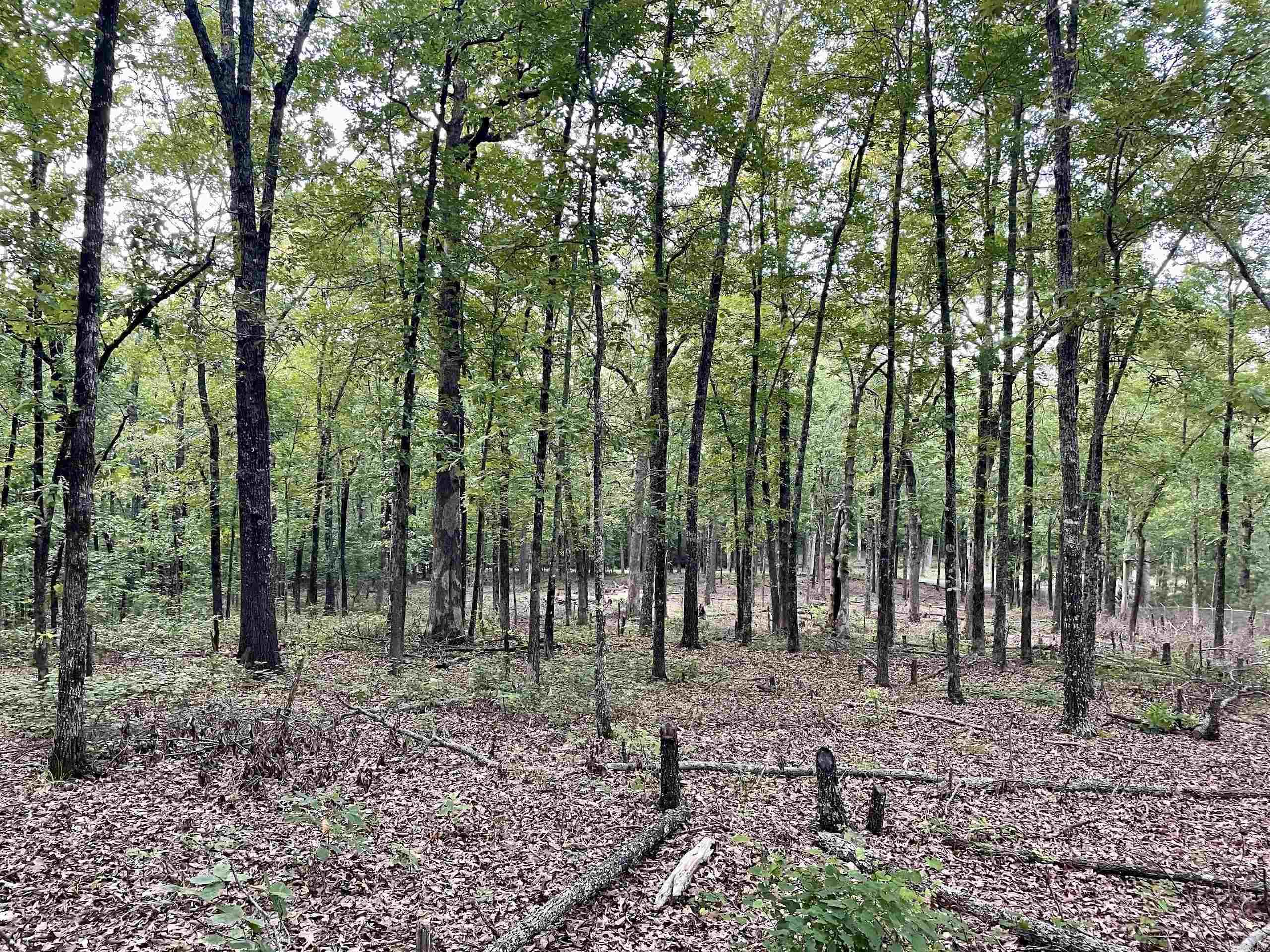 Not in Subdivision - Land