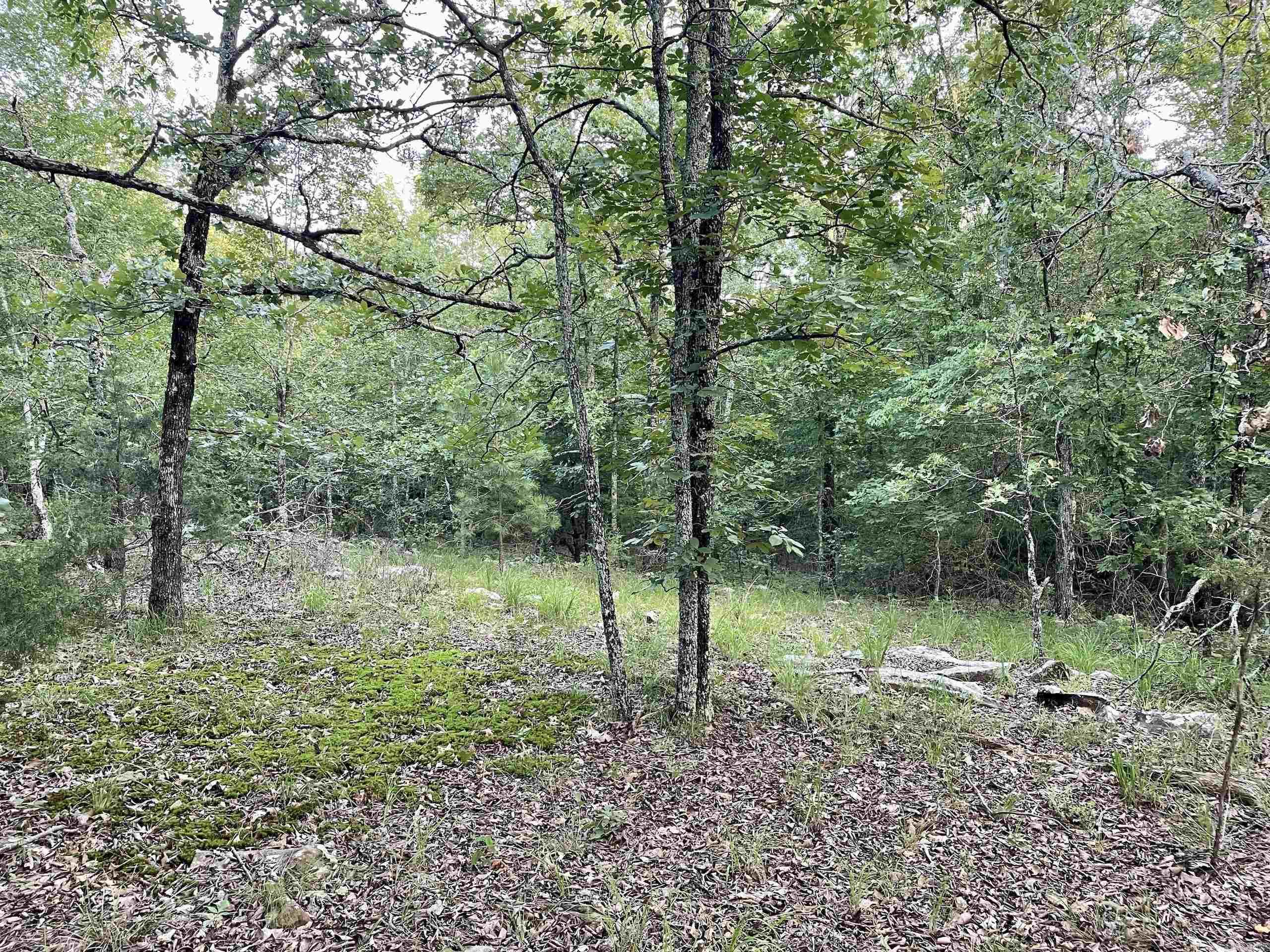 Not in Subdivision - Land