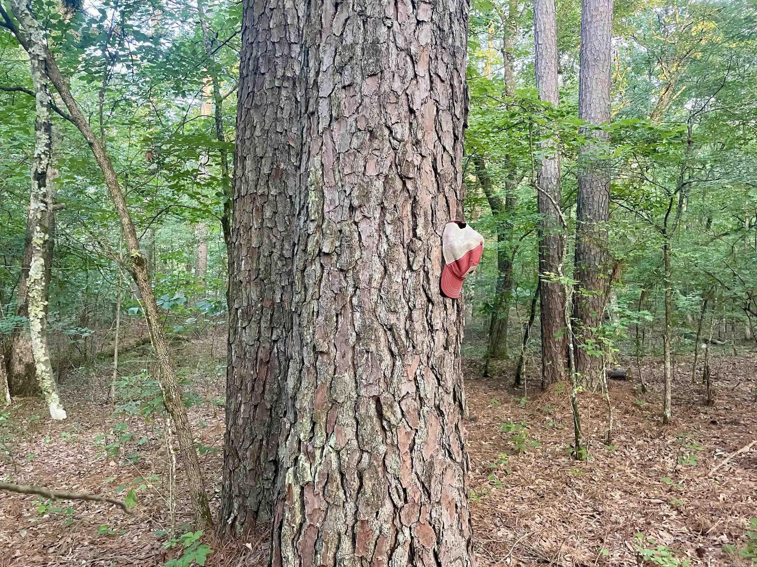 Not in Subdivision - Land