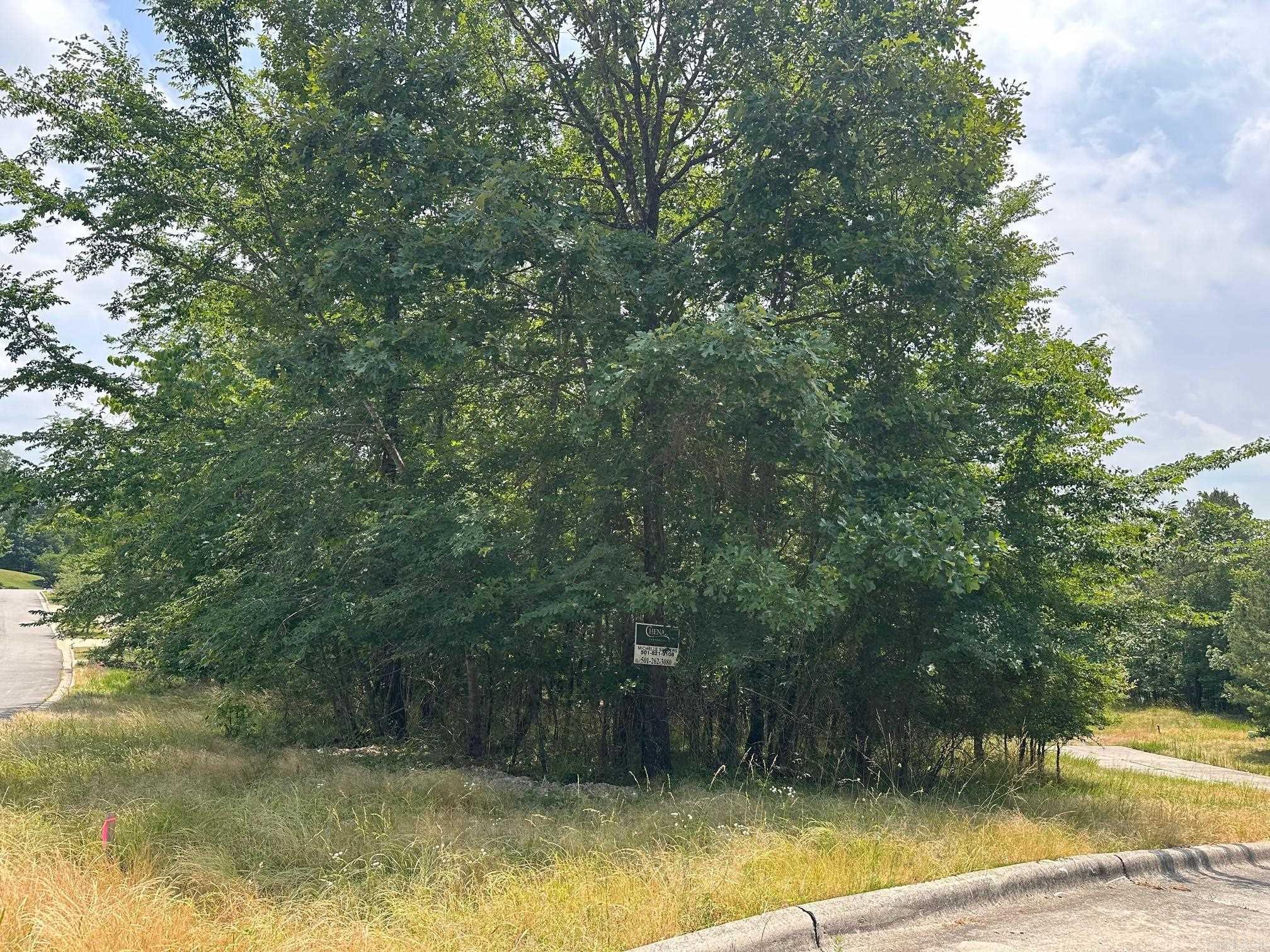 GREAT BUILDING SITE IN THE PREMIER GATED COMMUNITY OF HOT SPRINGS - RED OAK RIDGE . SITUATED ON 800 ACRES. ENJOY SERENITY AND PEACEFULNESS WITH LAKE AND MOUNTAIN VIEWS WITH SOME OF THE LOTS. PAVED WALKING PATHS ALONG THE LAKE FRONTS OF THE TWO PRIVATE RED OAK RIDGE SPRING FED LAKES - STOCKED WITH BASS FOR FISHING - ALONG WITH SMALL BOATING ACTIVITIES. ENJOY MOTHER NATURE AT ITS BEST! GREAT LOCATION CLOSE TO ACTIVITIES!!