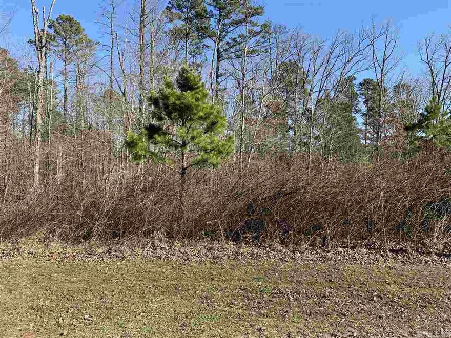 Great Lot in a desirable neighborhood for building a nice home! Super quiet area. Watersedge is very close to the town of Greers Ferry and Fairfield Bay .  Close to ATV, hiking, and mountain biking trails. The Little Red River is minutes away!