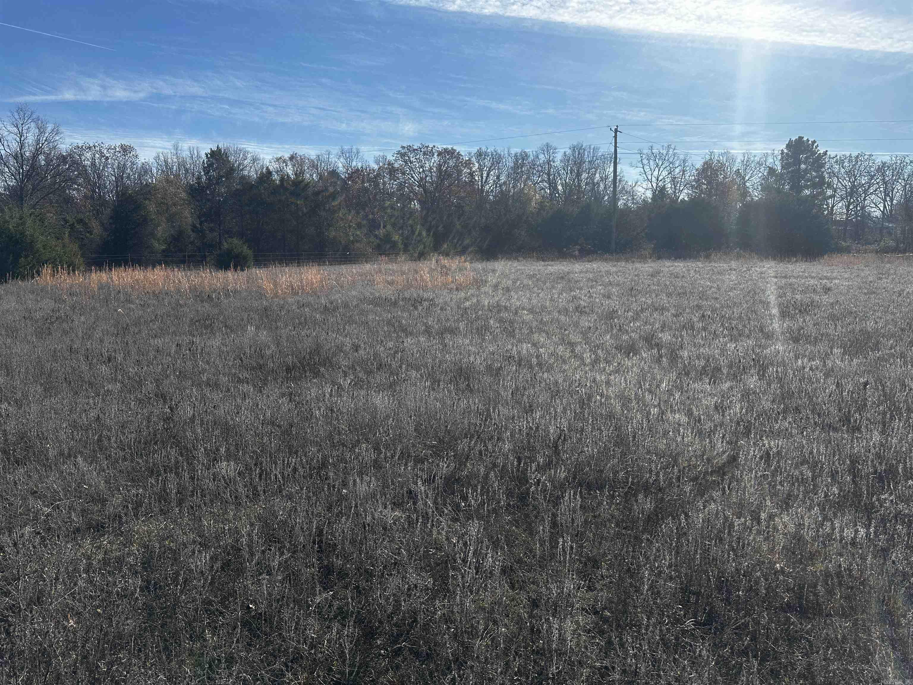 Come see this Beautiful 23.3 acres in the city of Sherwood. Outside the City Limits The Land is cleared up to Seven acres. The Land is also Wheat Pastured. No Flood Zone!!! Horses can be included (Tennessee Walkers)