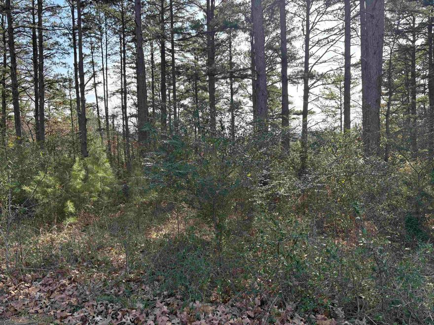 2 Lots in Calico Rock Arkansas.