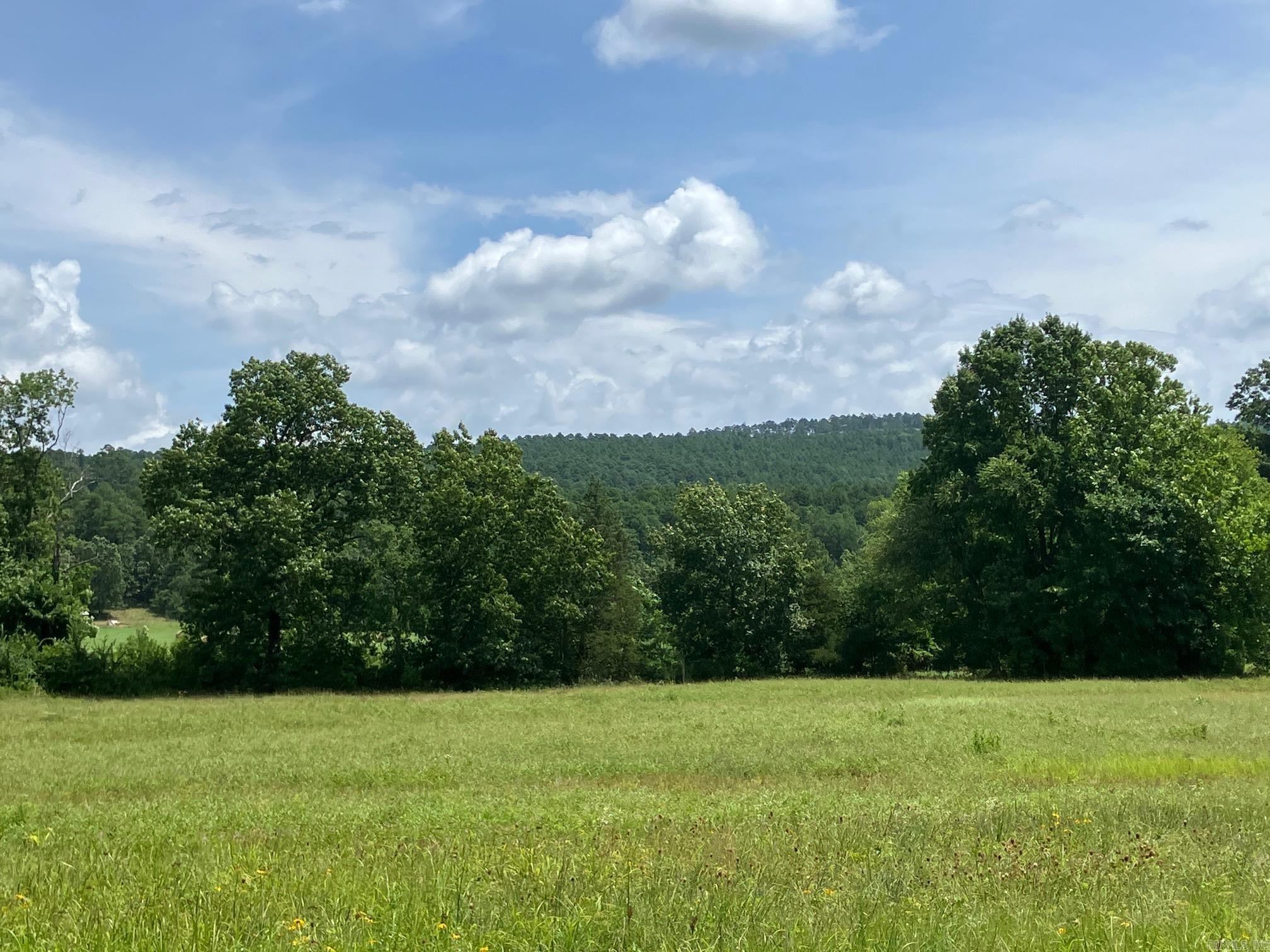 Amazing 43 fully fenced Mountain view acres with a bit of everything on it! Lower elevation of the property has 12 acres of pasture fronting the E. Fork of the Poteau River with views of Poteau Hill. Property also has 31 acres of beautiful trees with already built roads traversing the land. A build site has been cleared and leveled off at the high point of the property and with a few trees taken down will have mountain views in both directions. Electricity is in process of being brought to the leveled building pad (underground ā trenches are in). Rural Water meter has been installed at the bottom of the graveled access driveway. An older barn shed, and older 5th Wheel are down in the pasture area. Property has producing Walnut trees, two ponds and other fruit trees (peaches, pear, apple and cherry) that have been planted more recently, along with grapevines. There are so many places to explore and so many neat spots to build cabins, this would make a great retreat site, or a very lovely secluded home/cabin site. Property has really nice elevation change from the top to the pasture. Two garden sheds up along the driveway to build site are excluded. Close to National Forest.