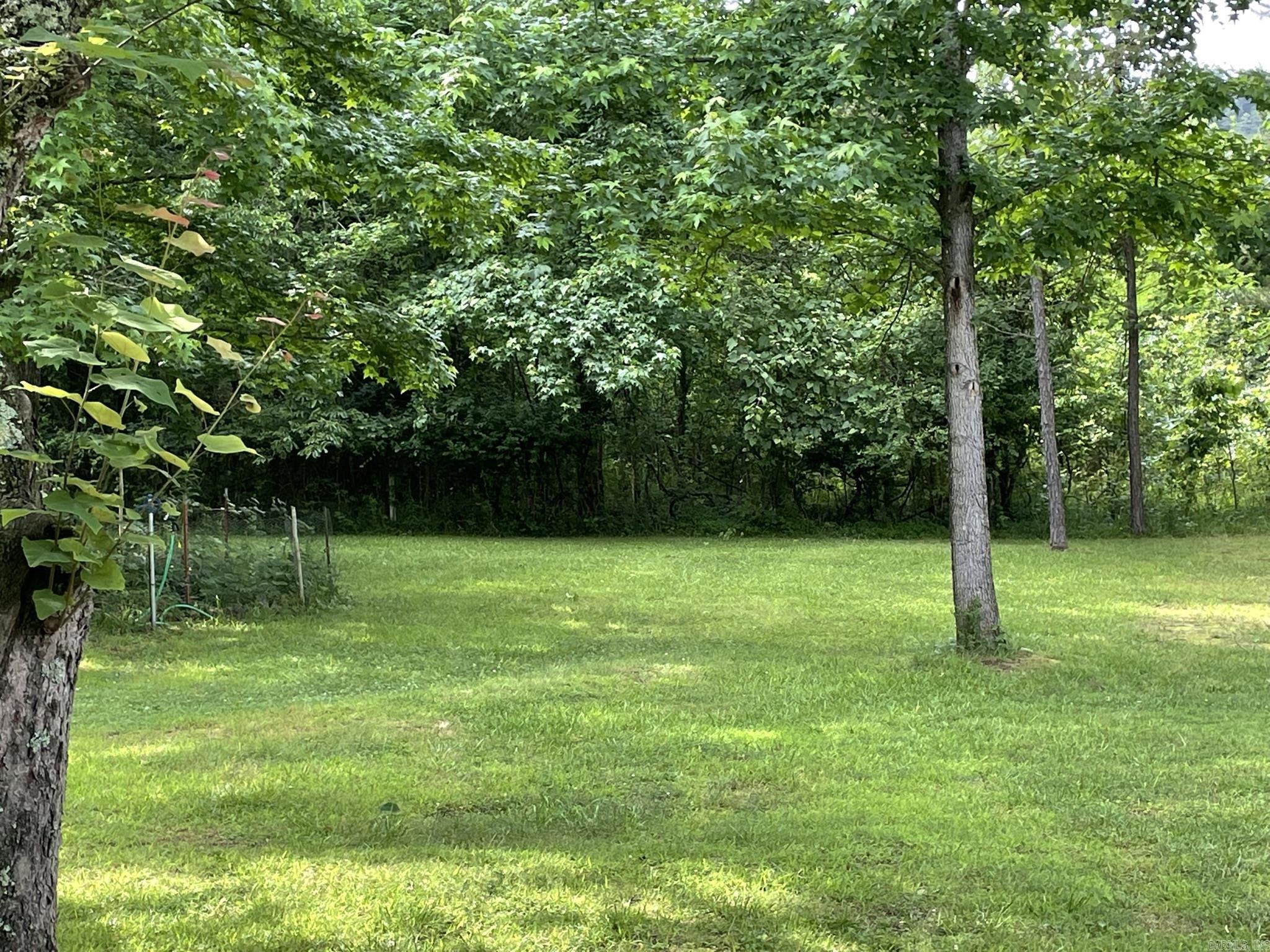 BIG FORK AREA - Residential