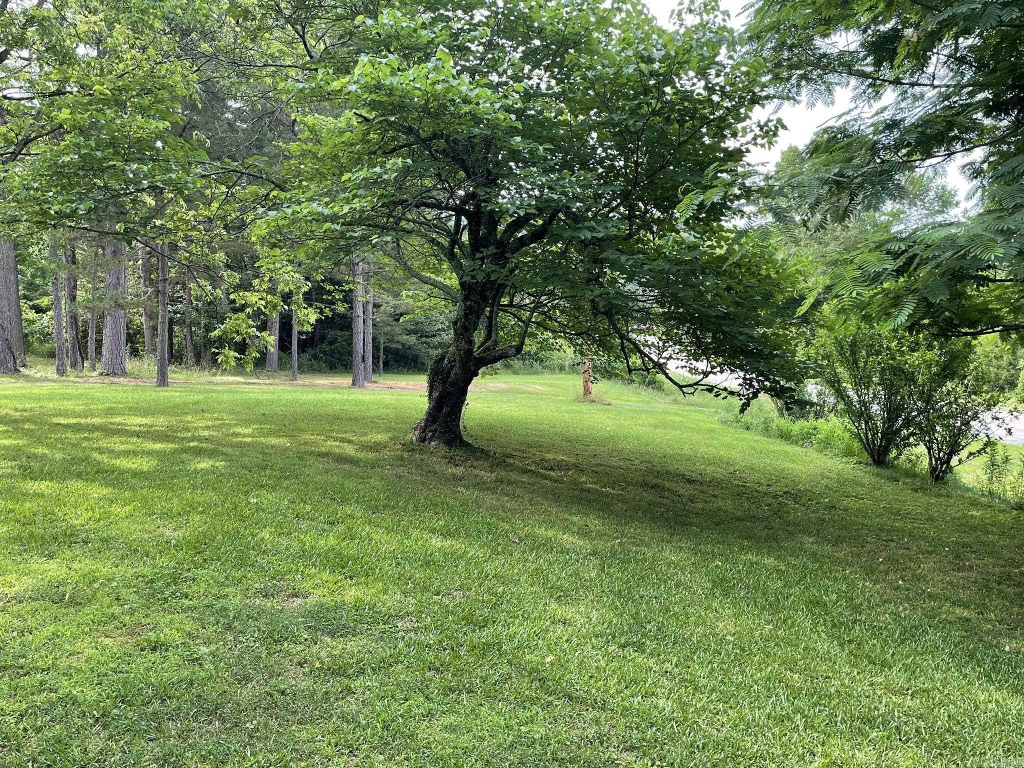 BIG FORK AREA - Residential