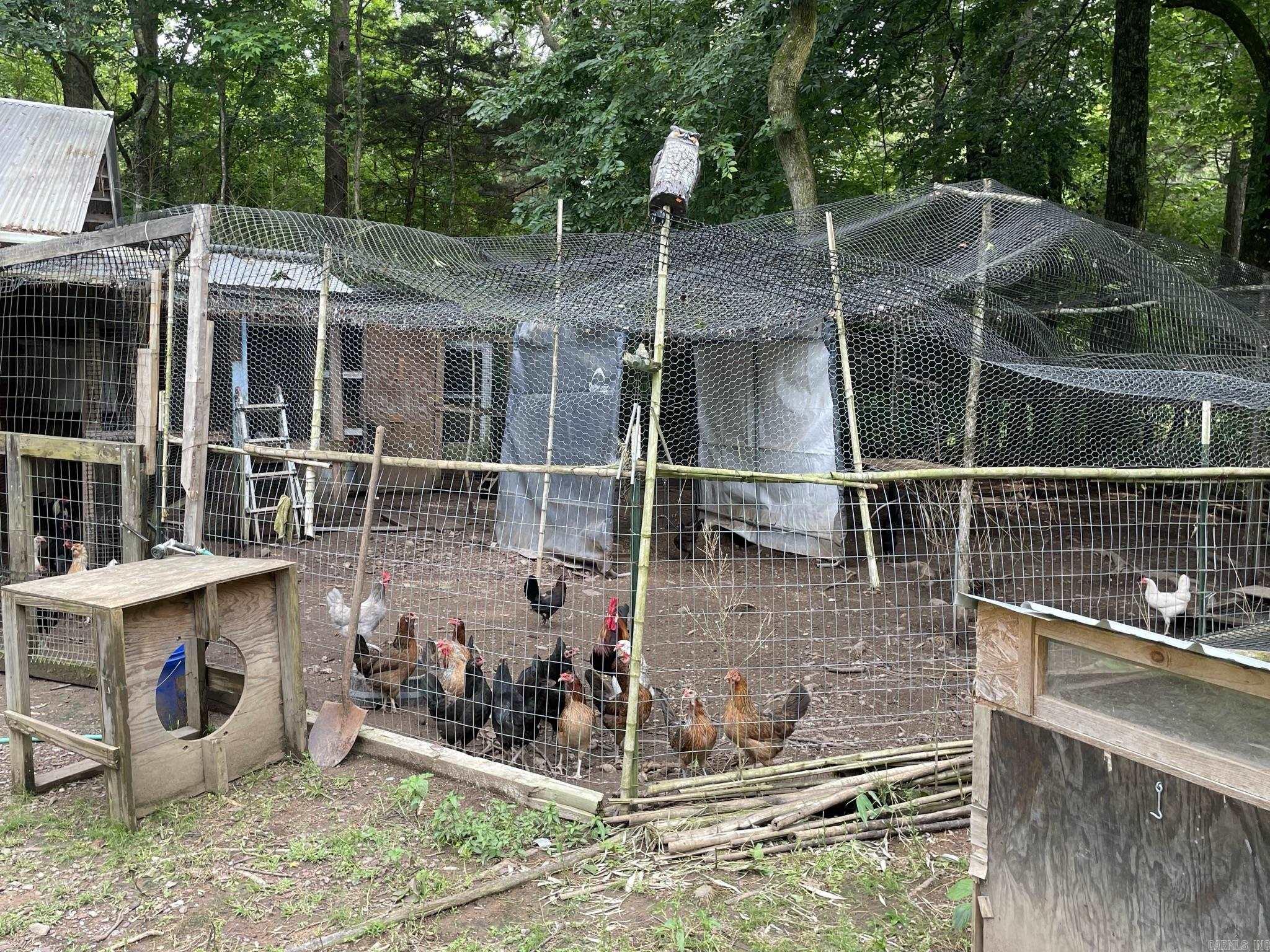 BIG FORK AREA - Residential