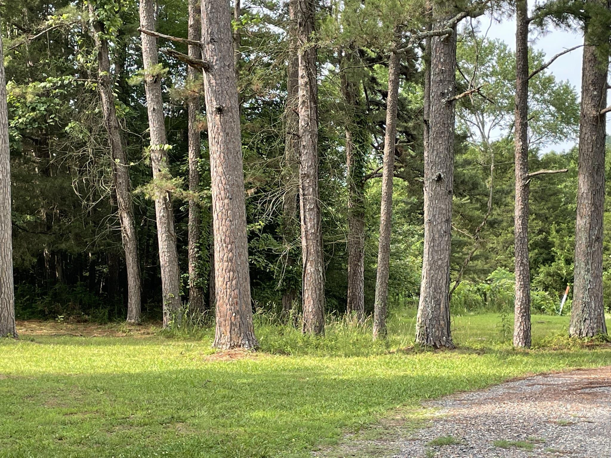 BIG FORK AREA - Residential