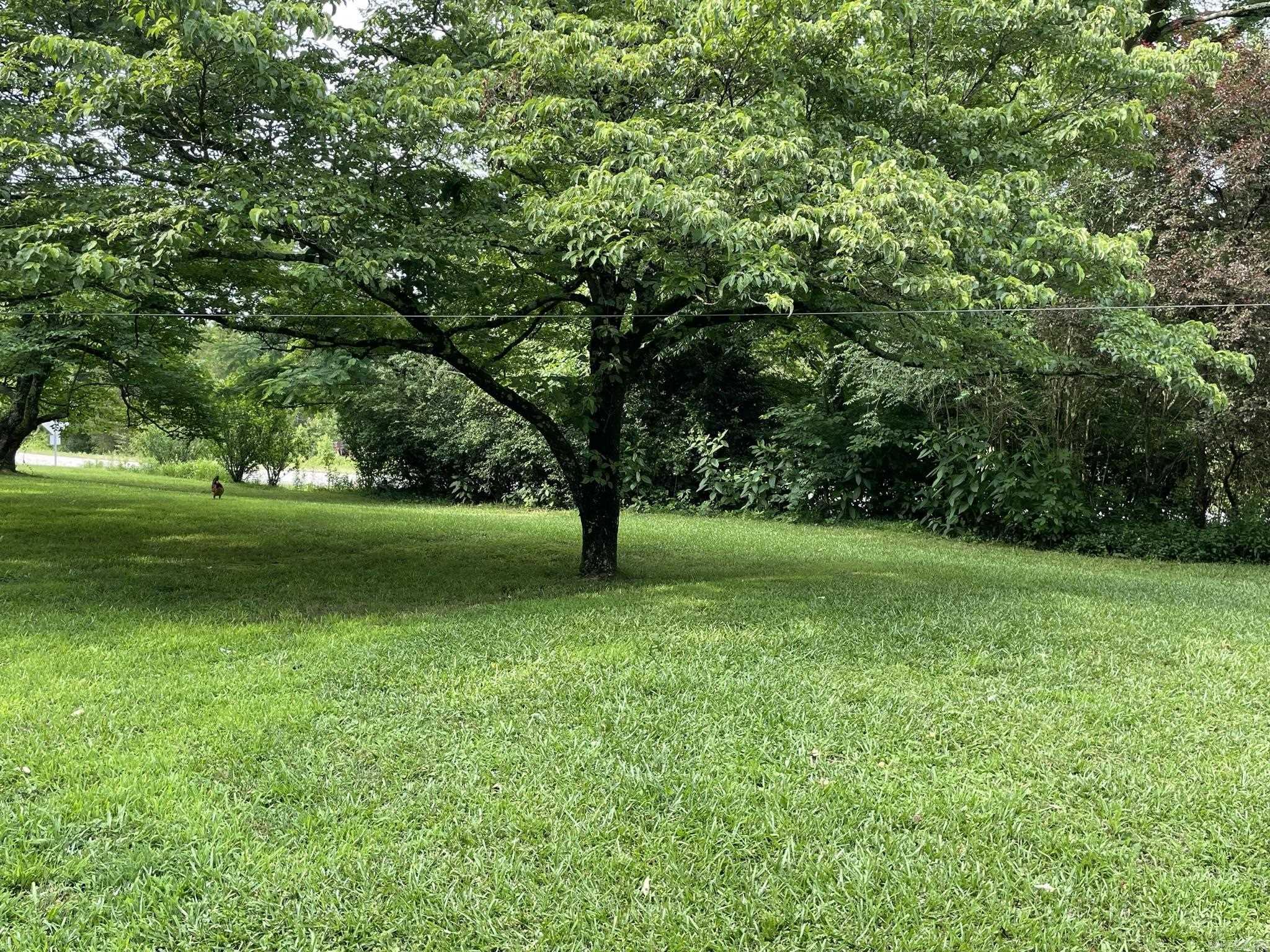 BIG FORK AREA - Residential