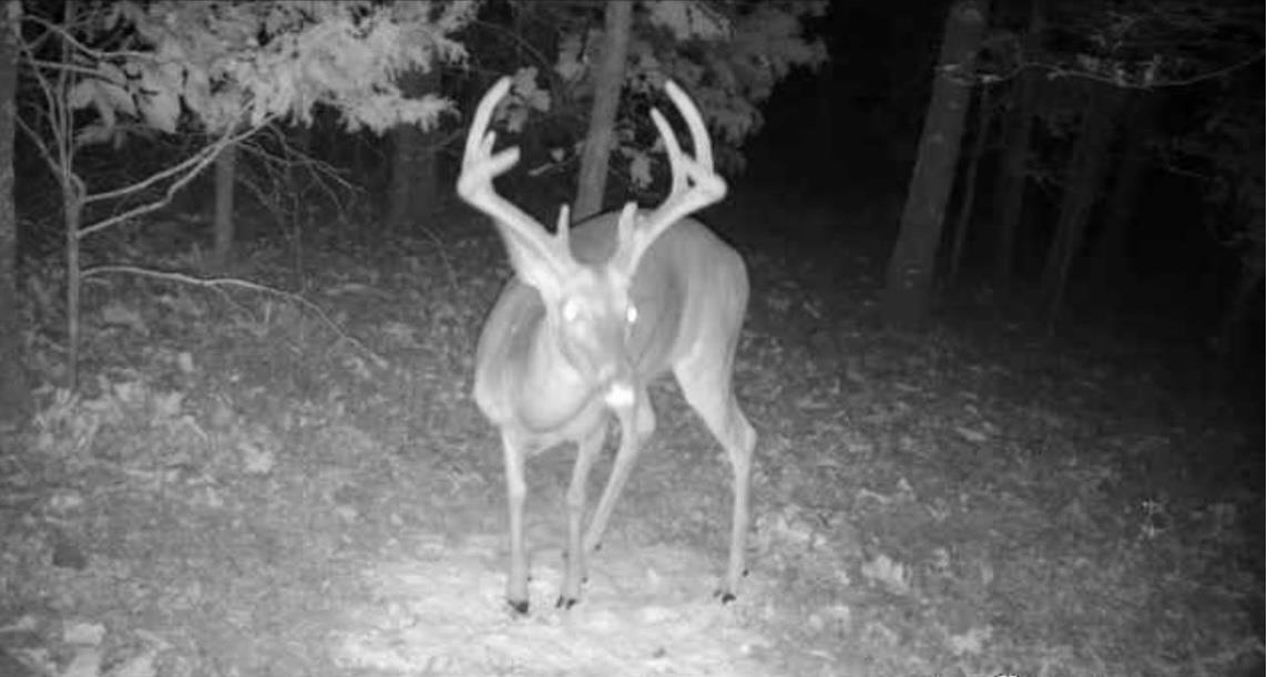 Mountain Ranch Estates - Residential