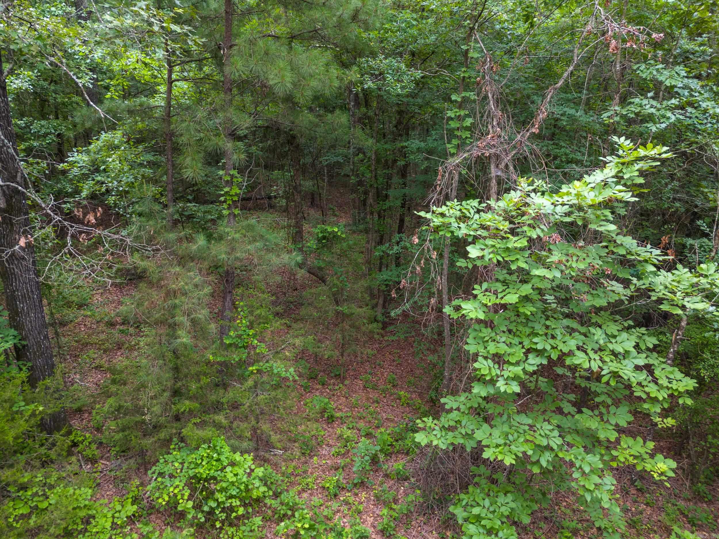 Sandy Springs - Land