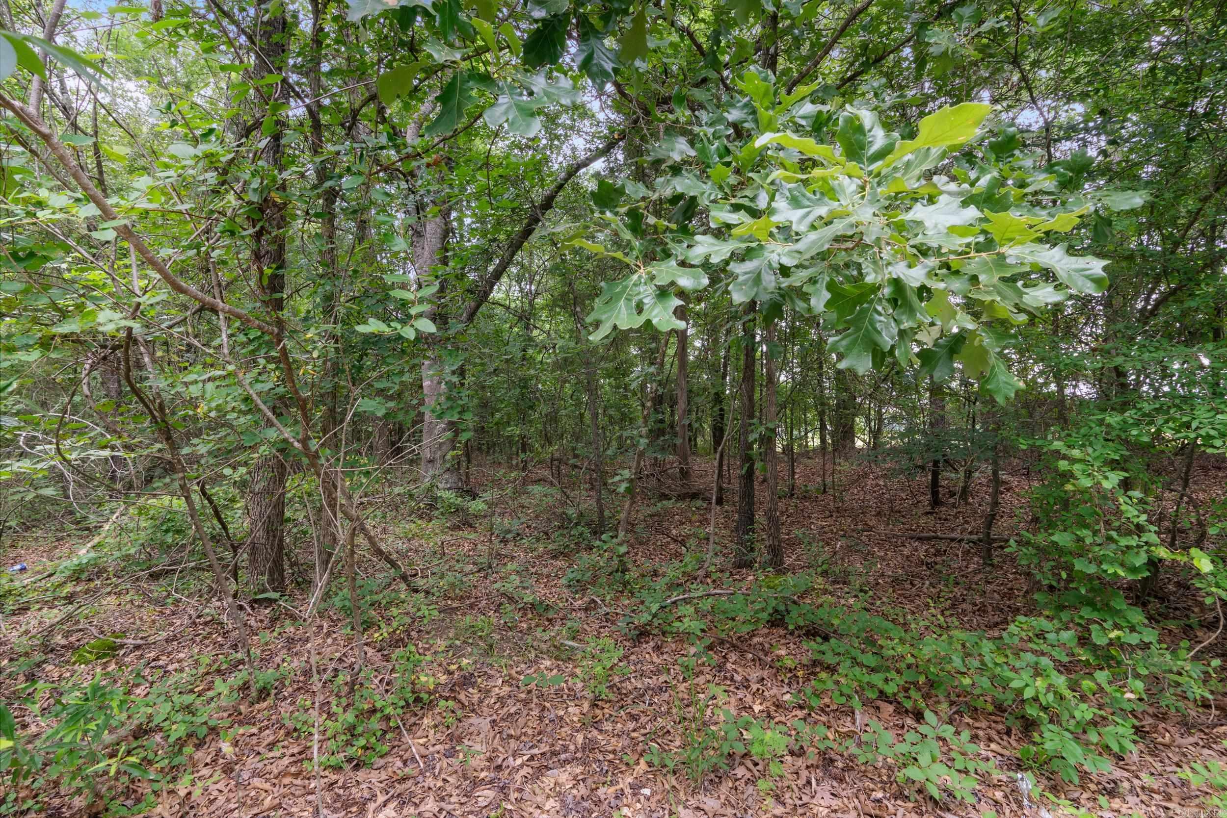 Sandy Springs - Land