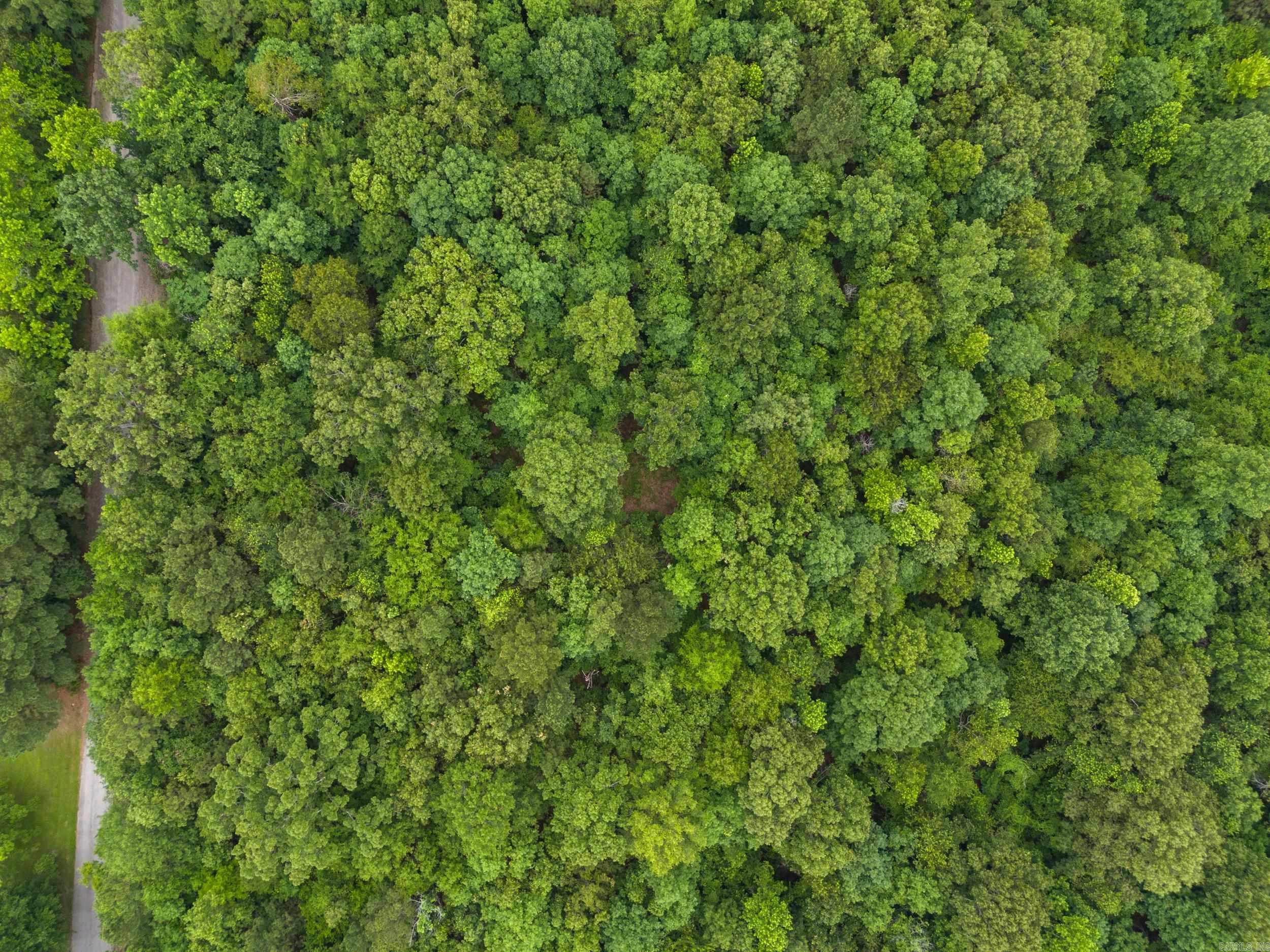 Sandy Springs - Land