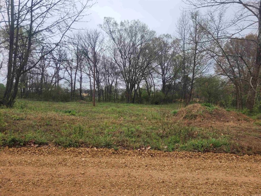 This beautiful 1-acre lot in the Goober Town Height Subdivision is a rare gem, featuring a peaceful creek that winds through the back of the property. Adding natural charm and tranquility. This property provides and excellent balance of open space and mature trees, creating a picturesque setting for a dream home or investment property.