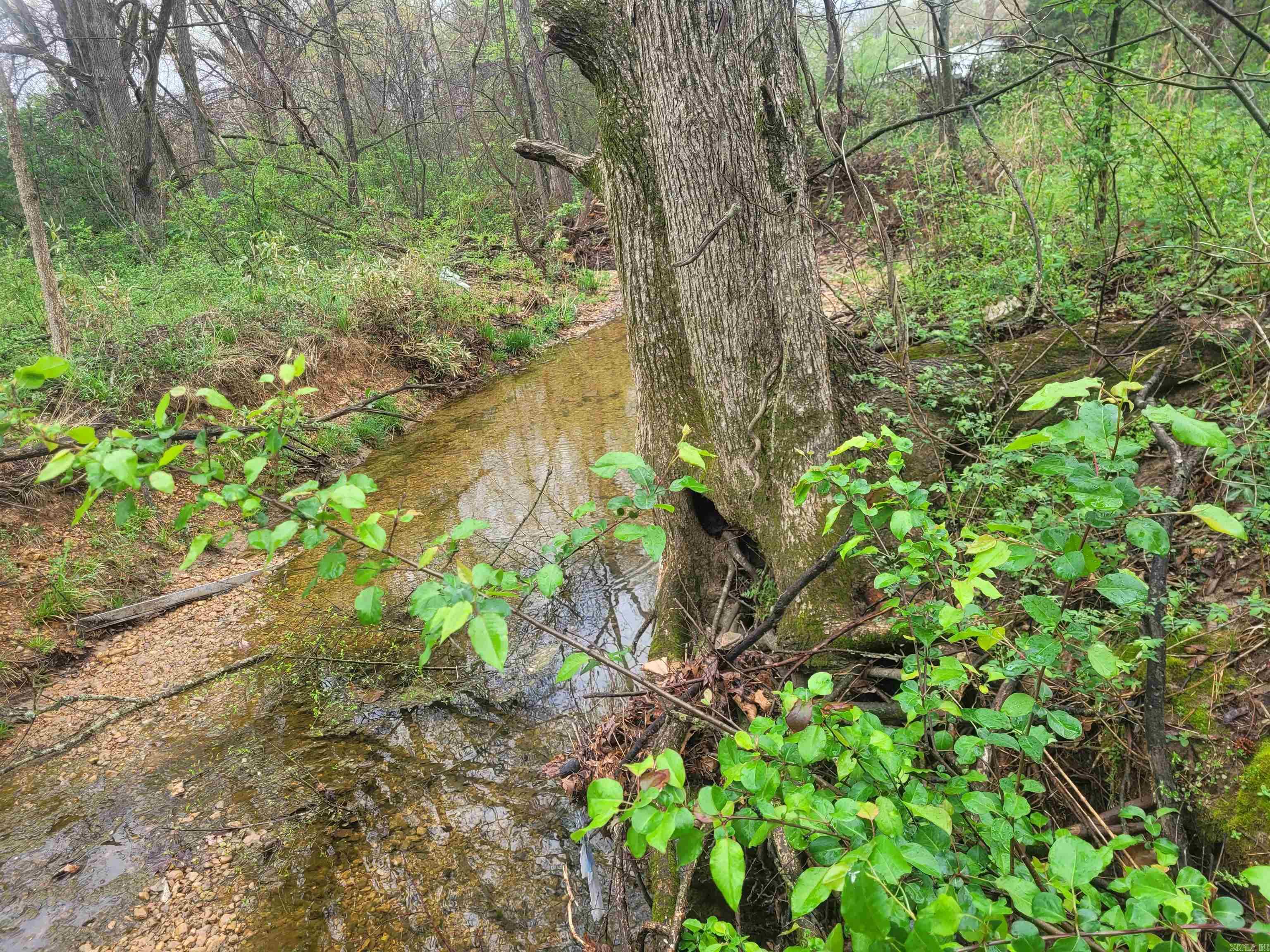 GOOBERTOWN HEIGHTS - Land