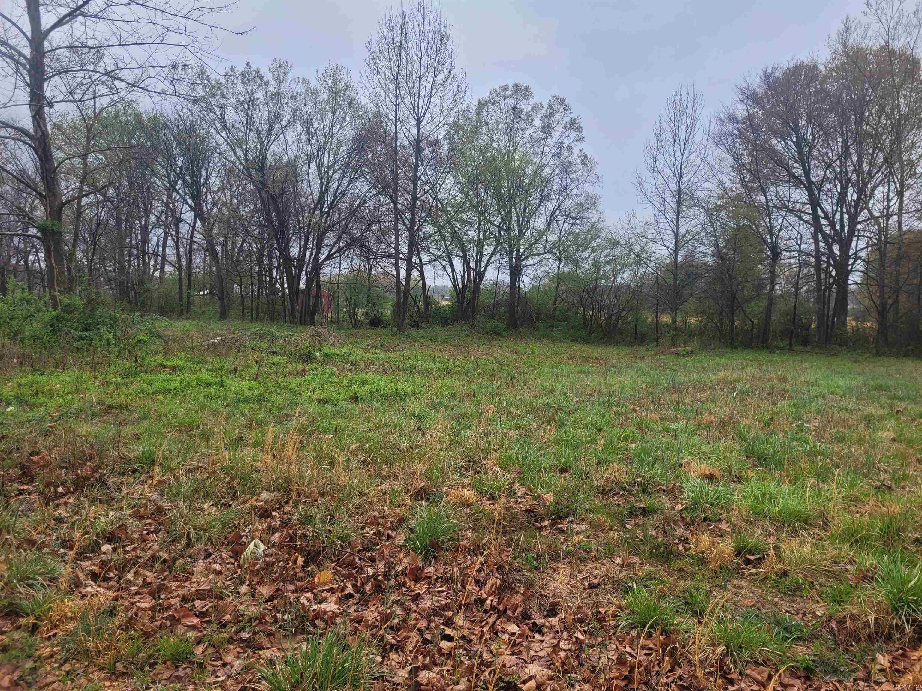 GOOBERTOWN HEIGHTS - Land