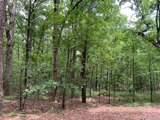 Round Mountain Estates - Land