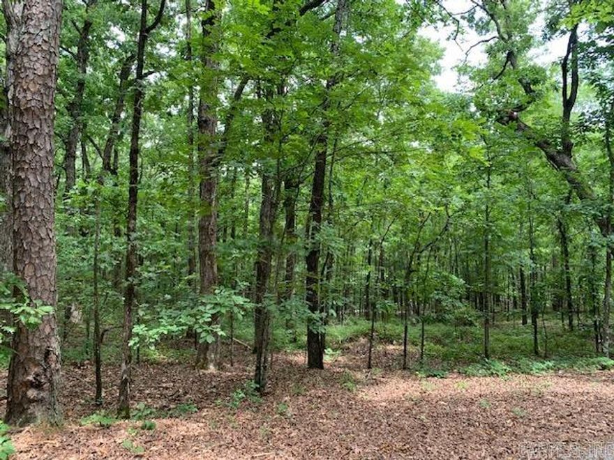 Two private, unimproved & wooded lots with gentle down slope, in the middle of a mountain top subdivision. The two lots are to be sold together.  These lots will require a well and perc test, as city water isn't present in this subdivision .