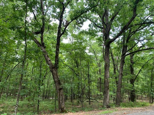 Round Mountain Estates - Land