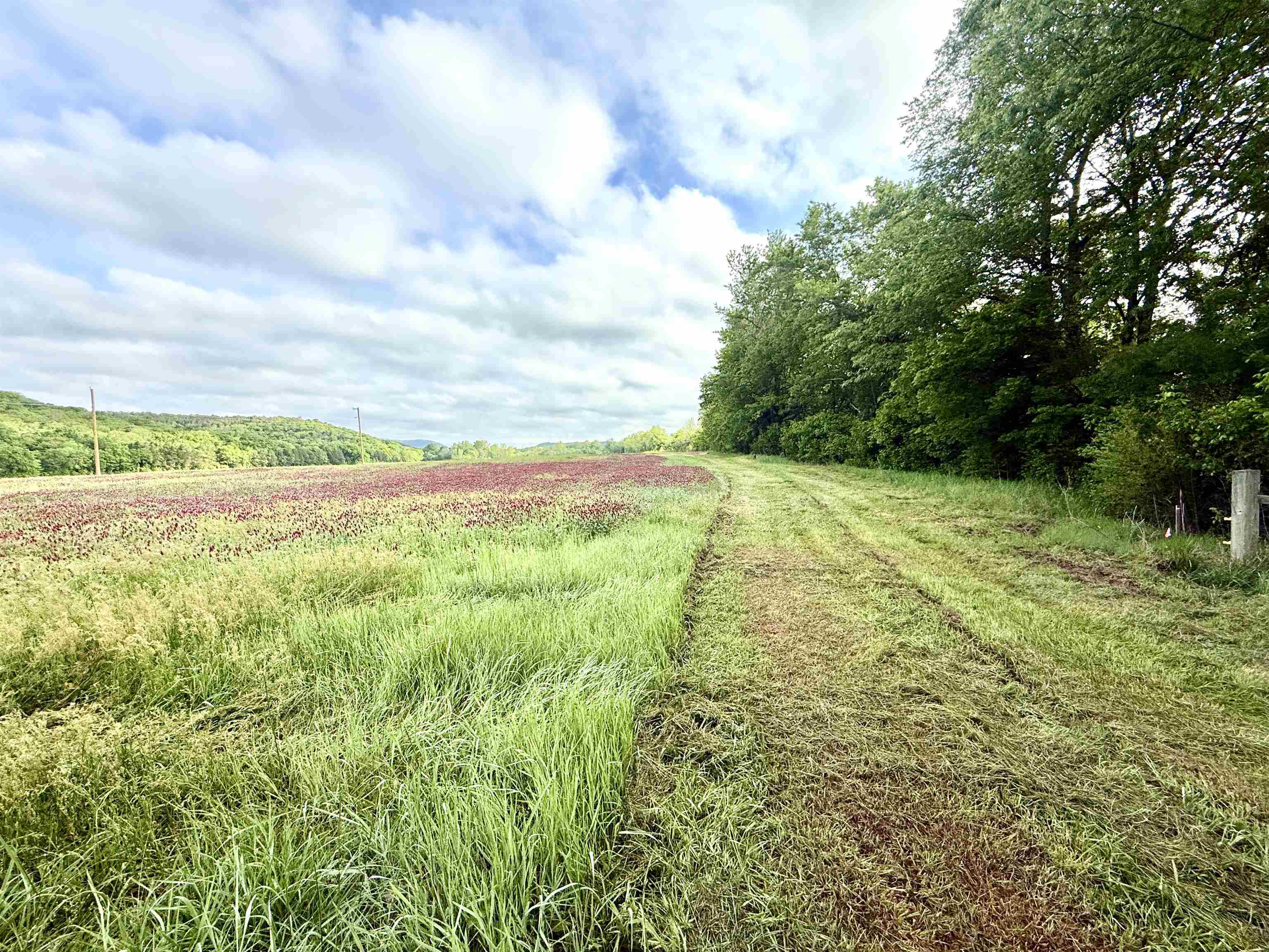 River Oaks - Land