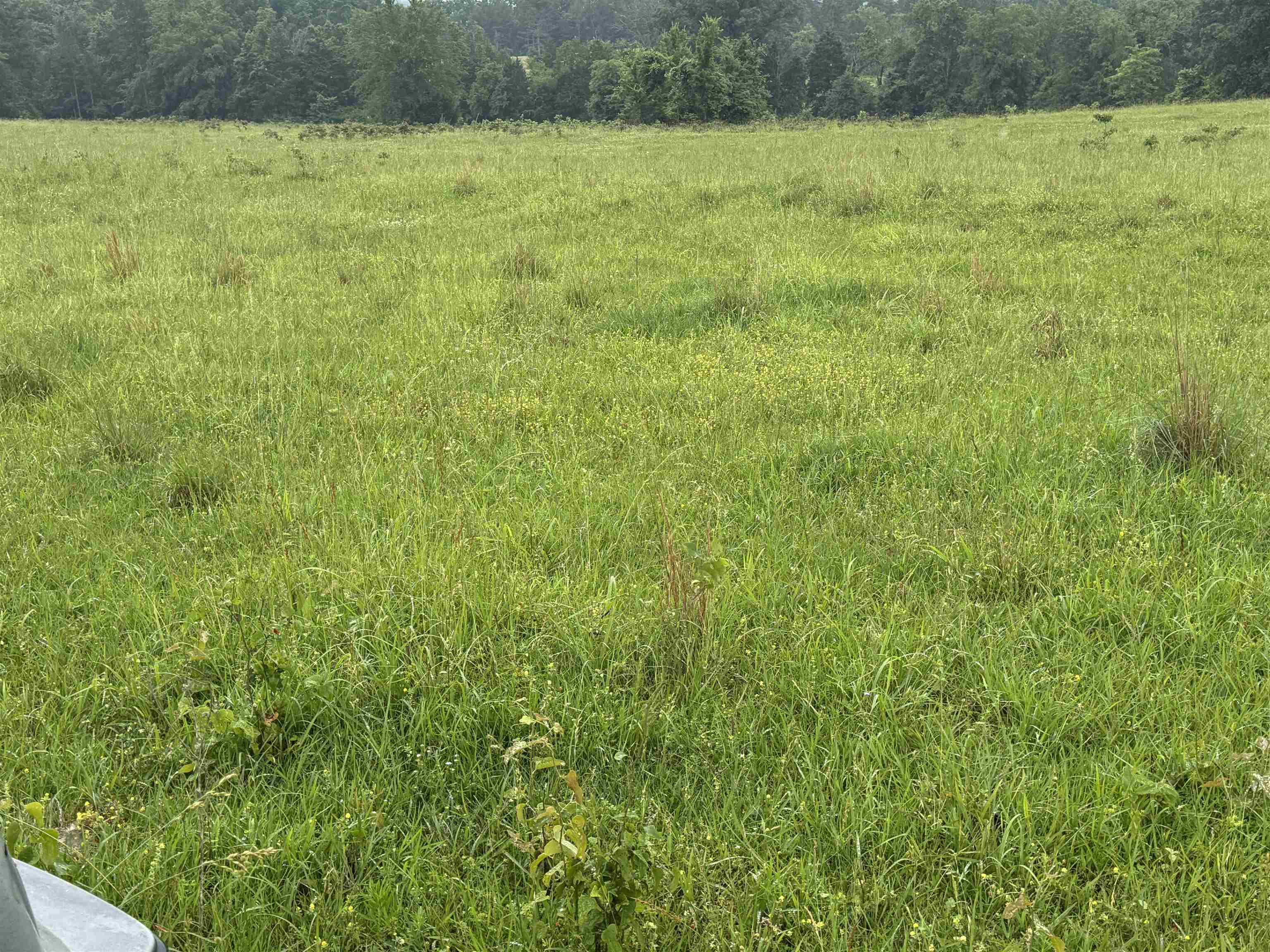 River Oaks - Land