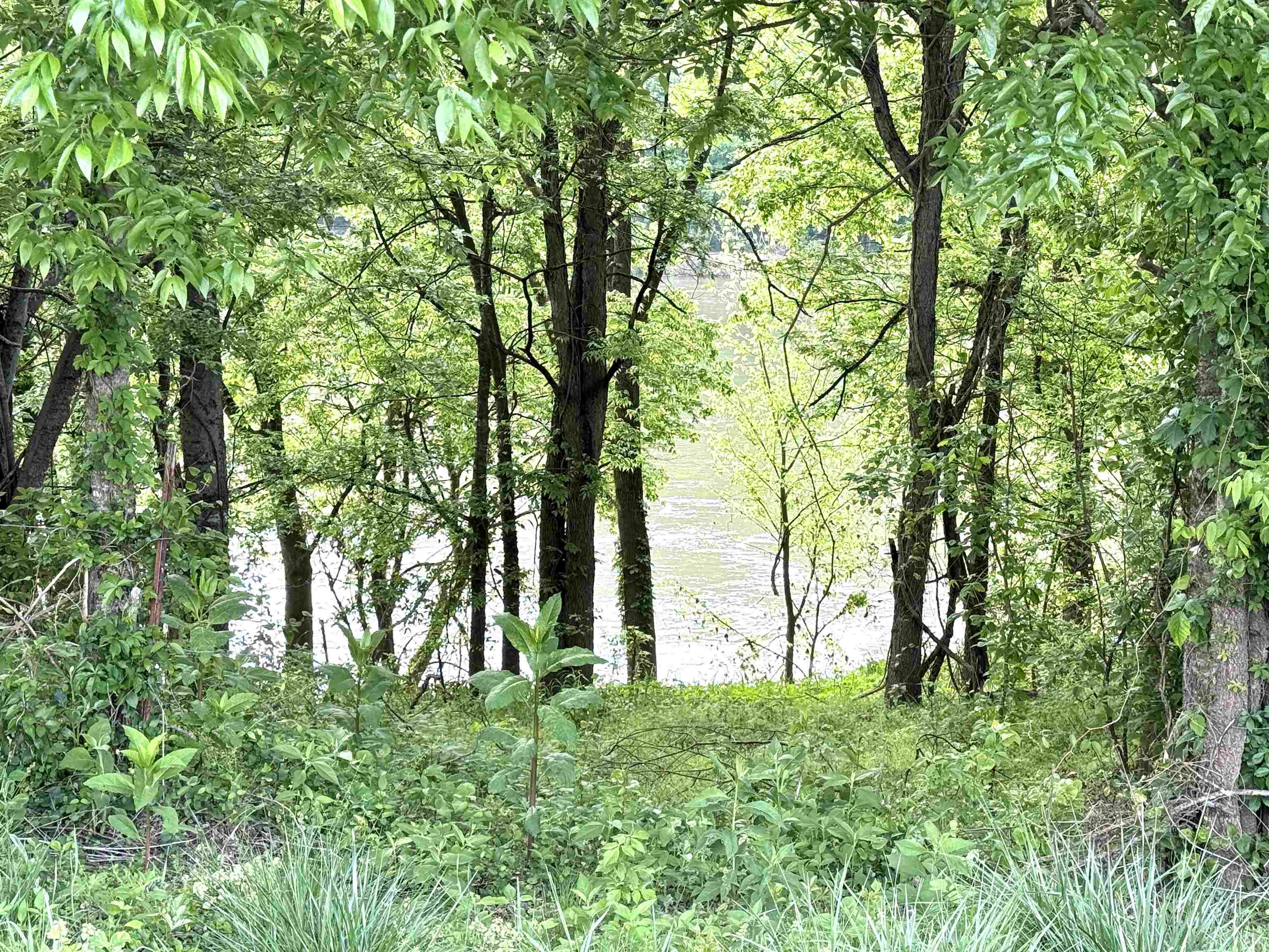 River Oaks - Land