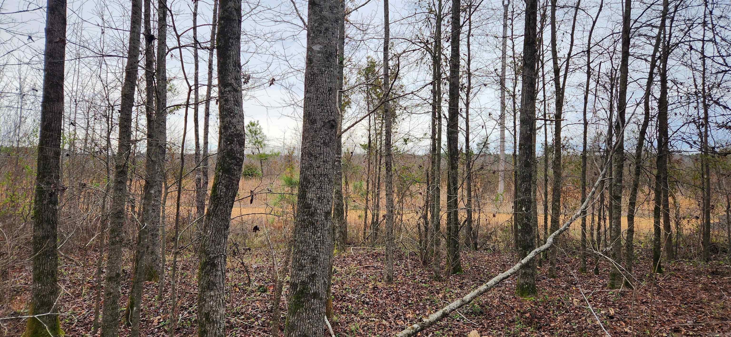 Looking for Small Acreage in the country to build or move mobile home on for a great price? This is the perfect spot!! Water and electric on the road.