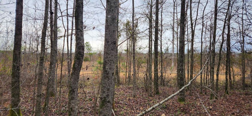 Looking for Small Acreage in the country to build or move mobile home on for a great price?  This is the perfect spot!! Water and electric on the road.