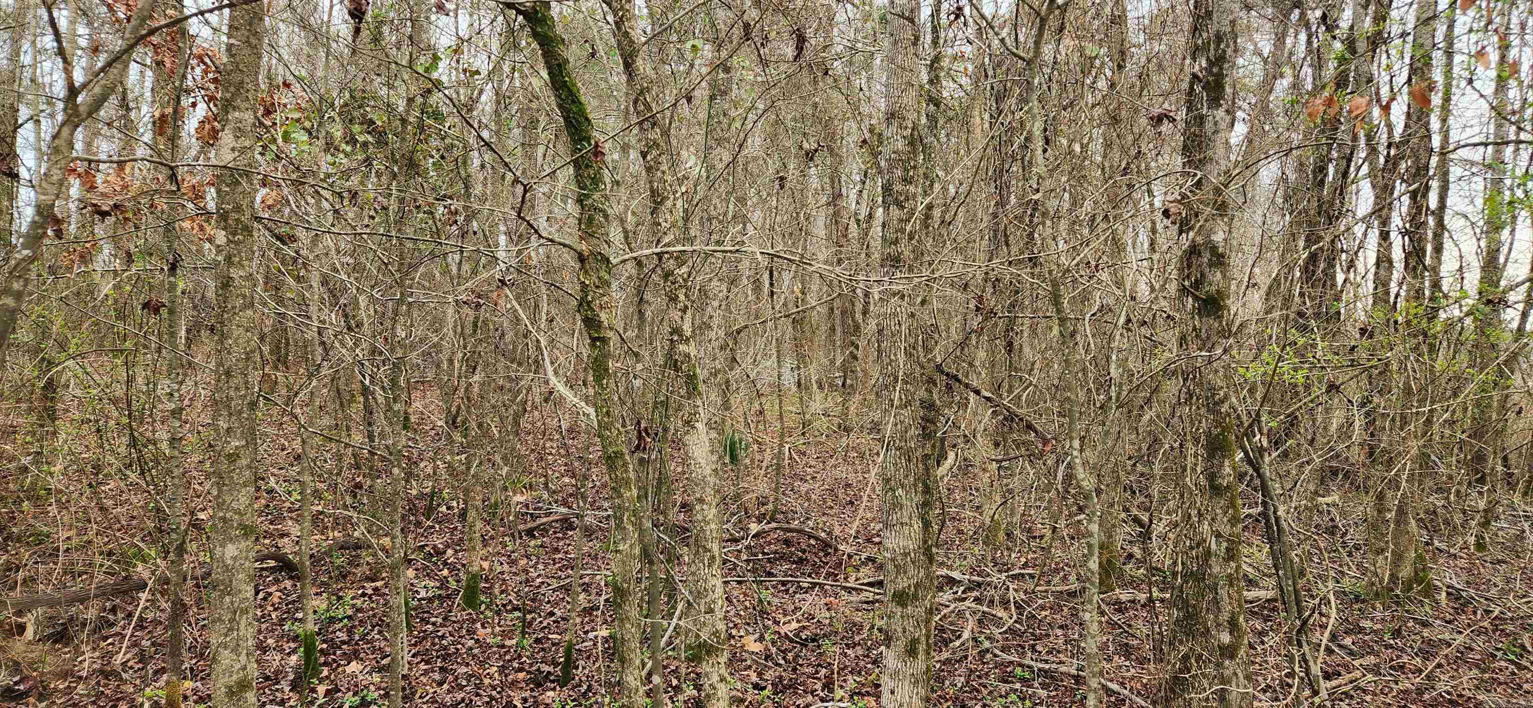 CANE CREEK ACRES - Land