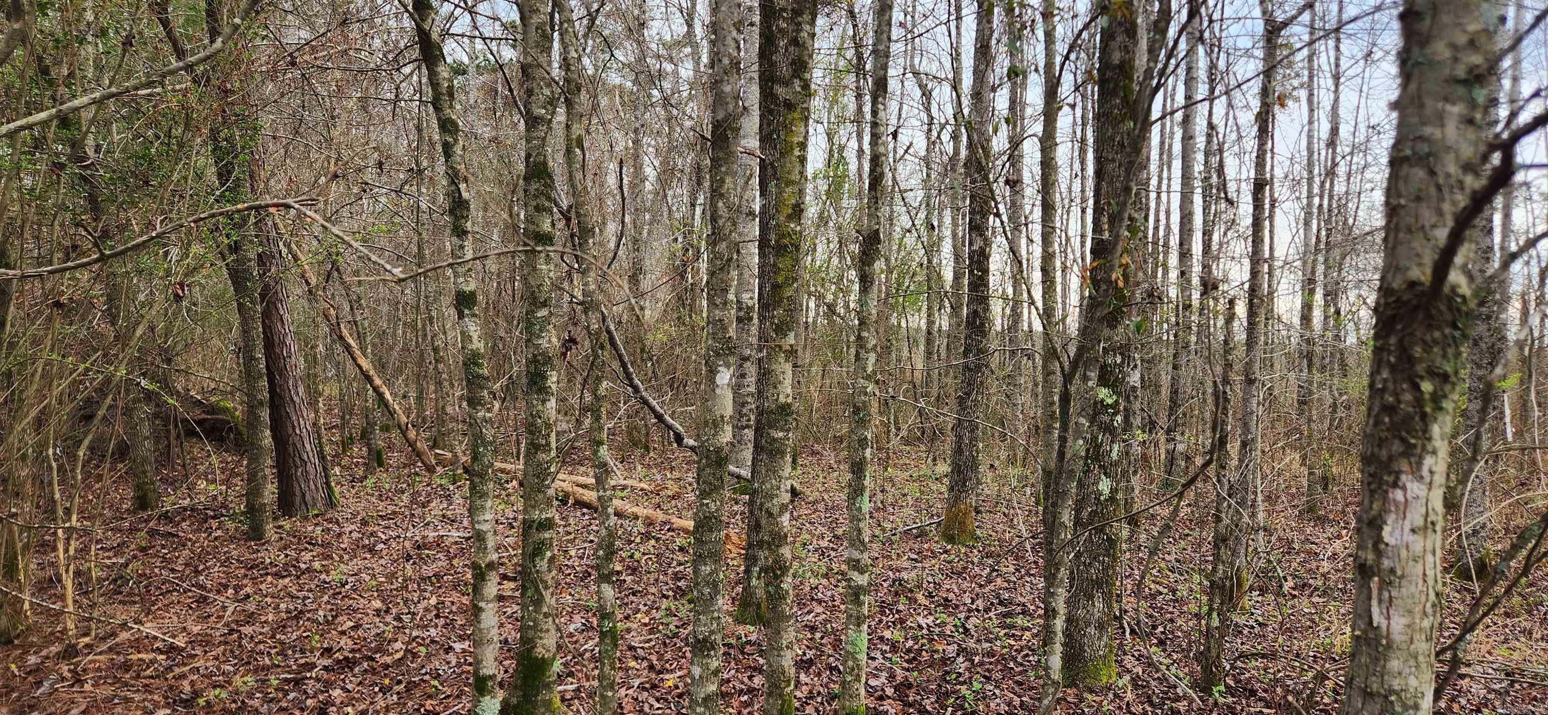 CANE CREEK ACRES - Land