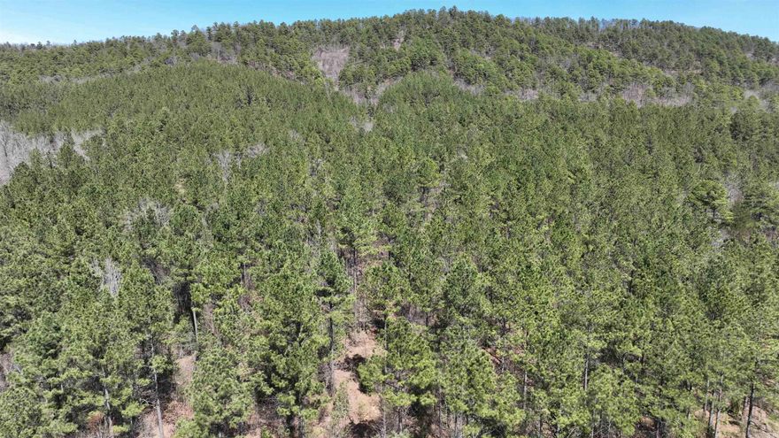 Lot 7.  4 wheeling, hunting, hiking, biking. Beautiful tracts in the heart of Shady country! Joins National Forest. 1/8 mile from 4 wheeler trails! Easement to property.  Taxes are estimated.  Four 9+ acre tracts for 149,900 per tract.