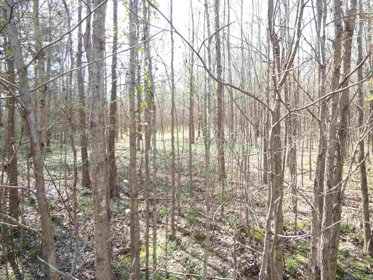 Saddle Brook Estates - Land