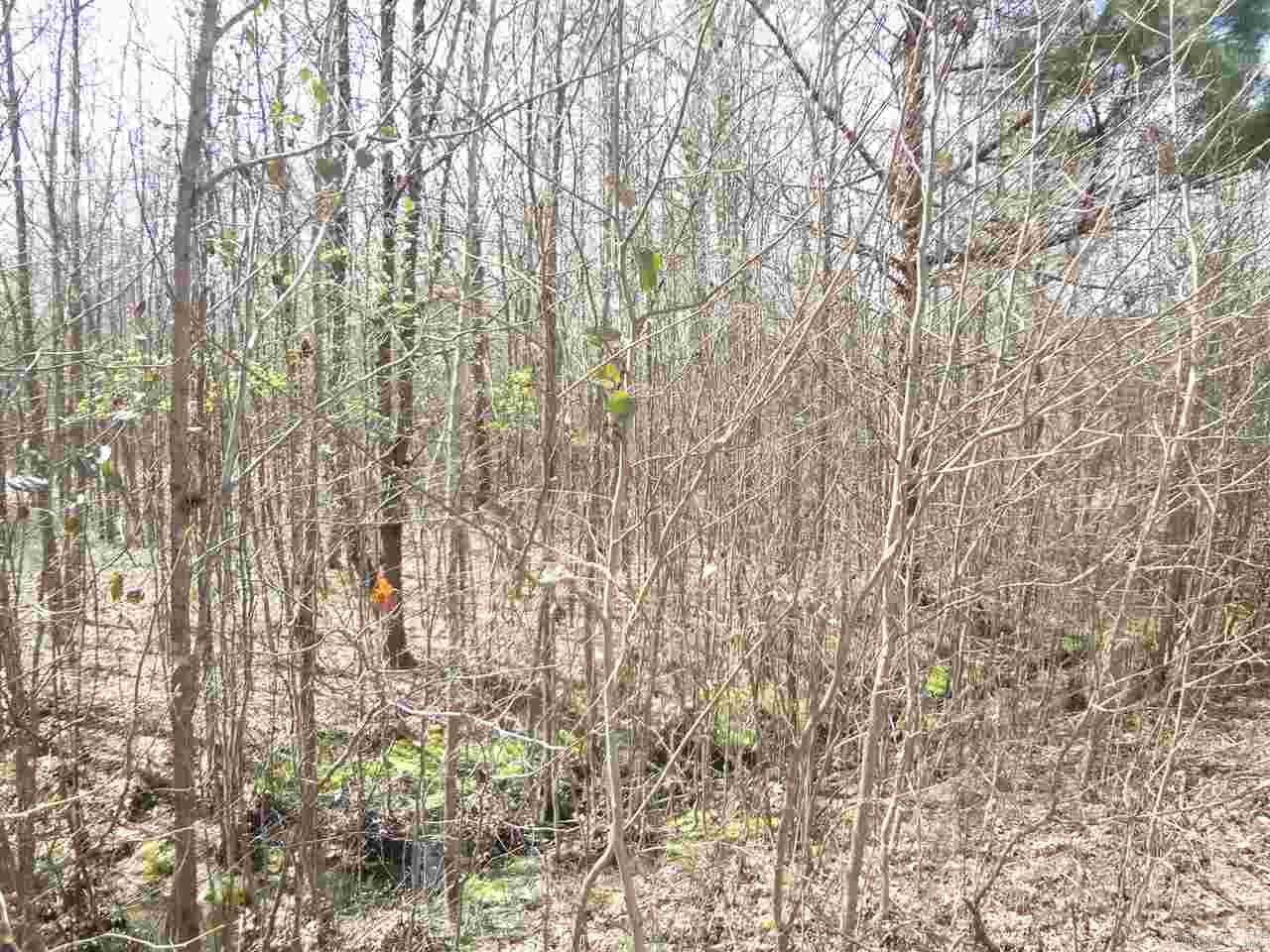 Saddle Brook Estates - Land