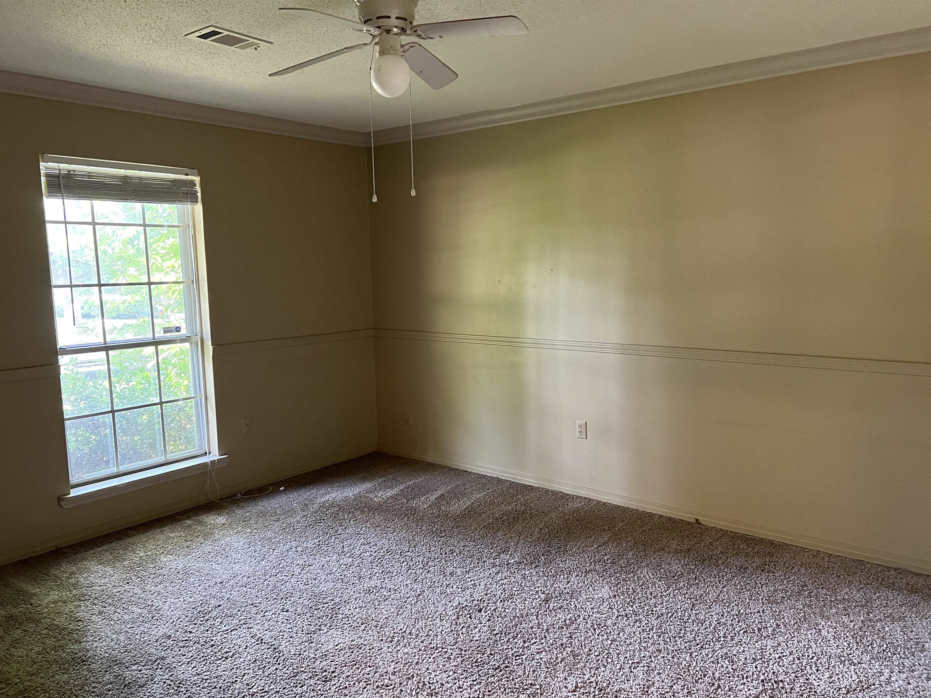 Stout - Residential Lease