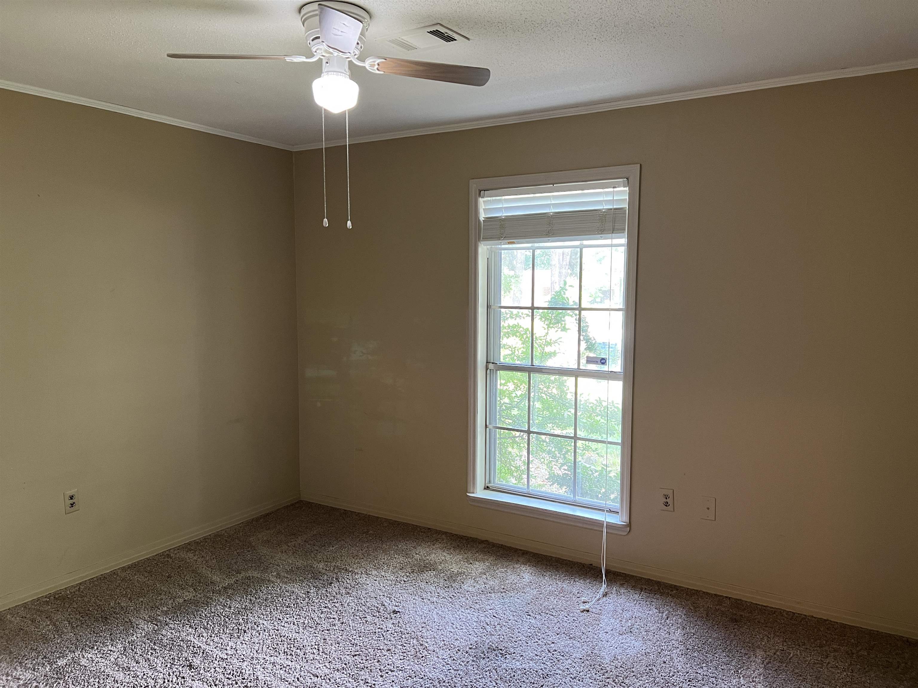 Stout - Residential Lease