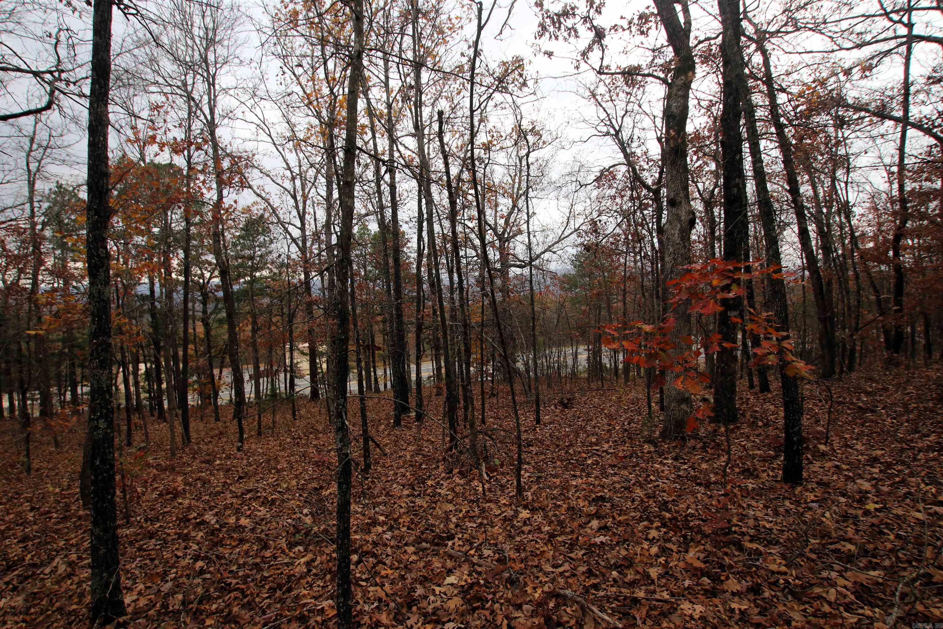 Not in Subdivision - Land
