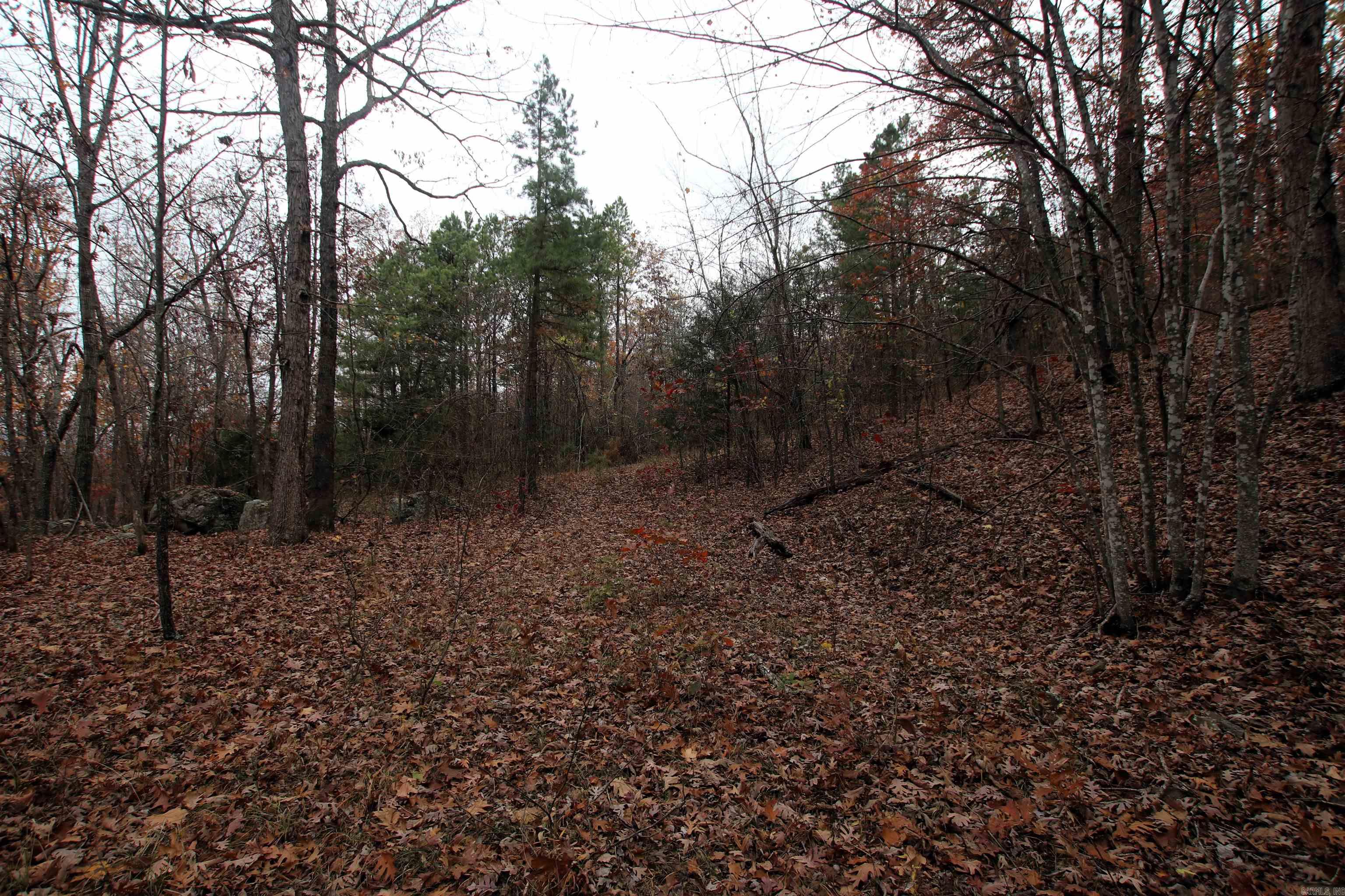 Not in Subdivision - Land
