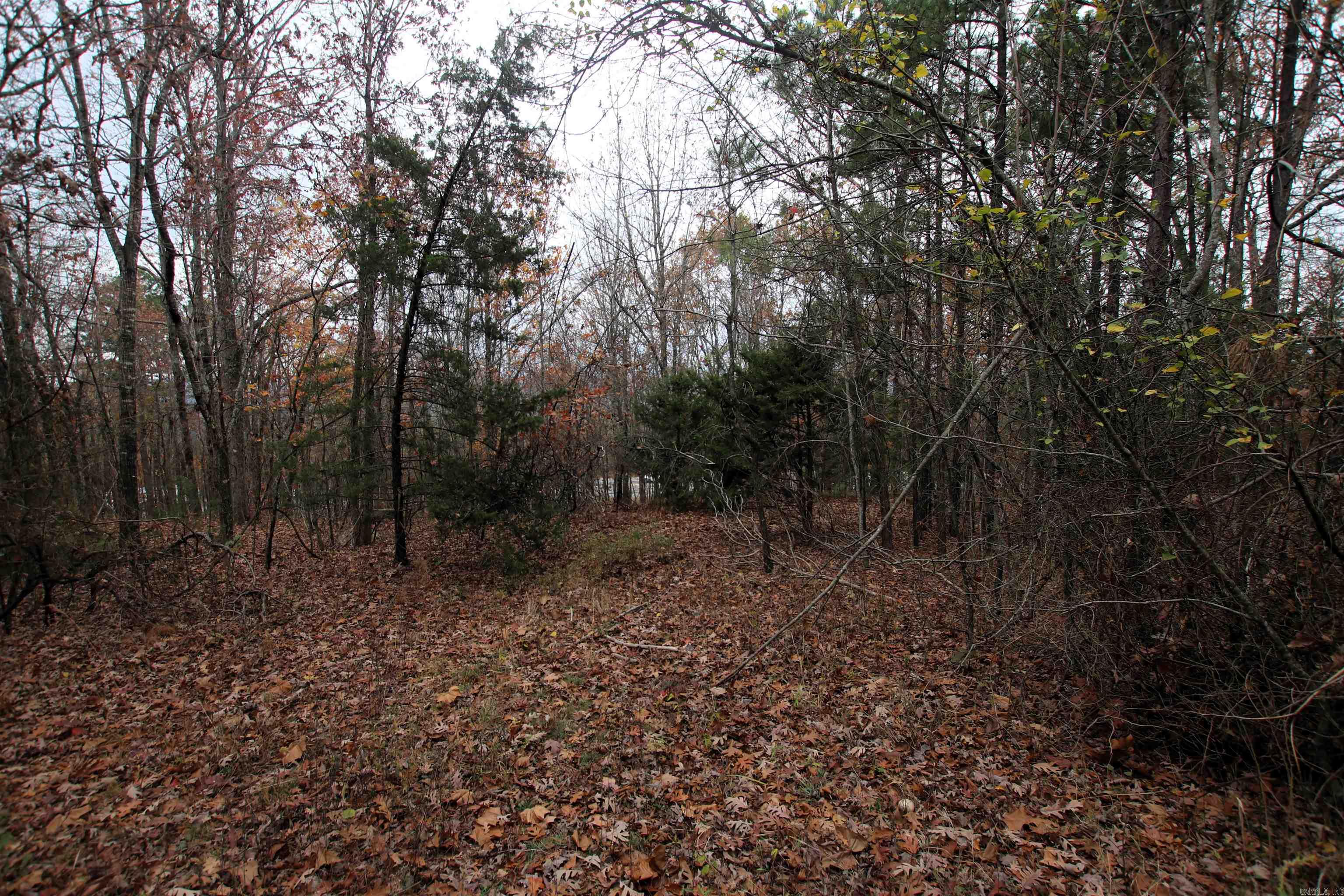 Not in Subdivision - Land