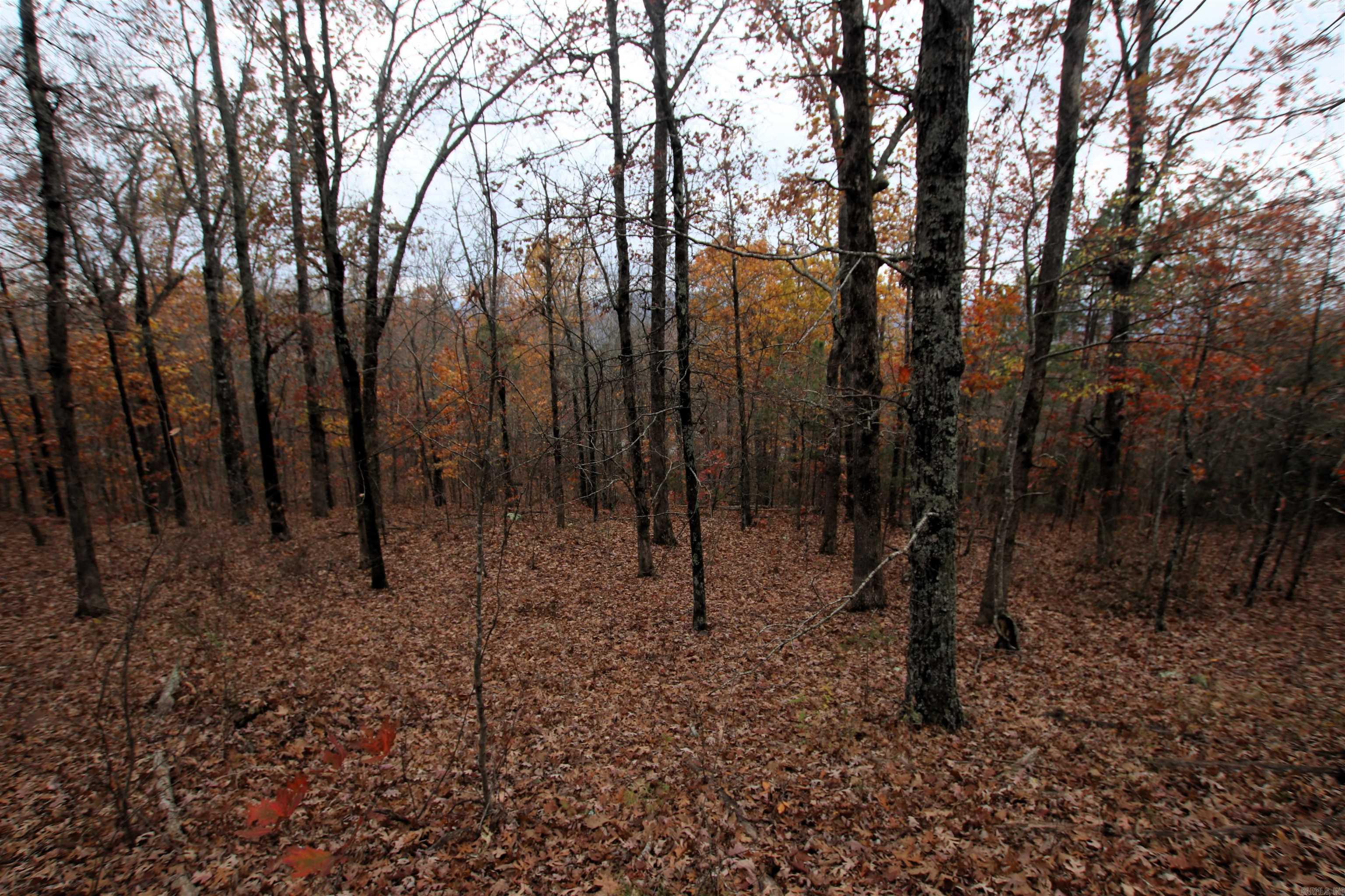 Not in Subdivision - Land